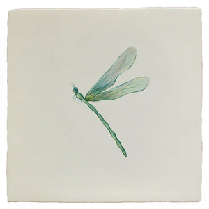 Garden Insects Resting Dragonfly Left 13x13cm