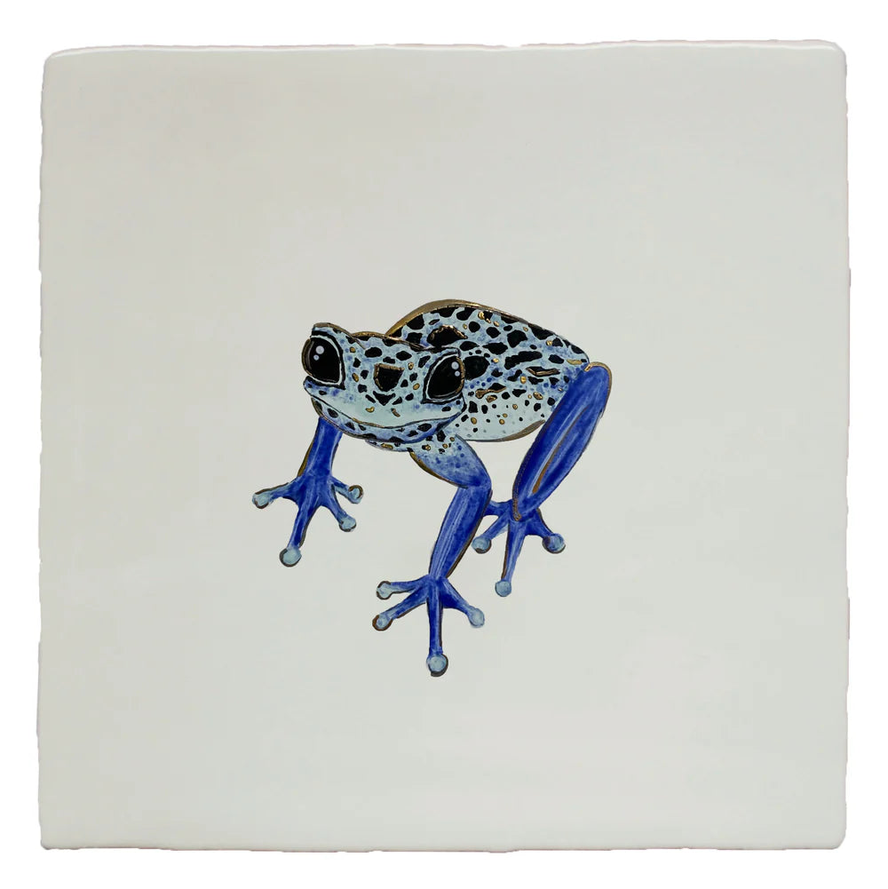 Glass House Poison Dart Frog Left 13x13cm