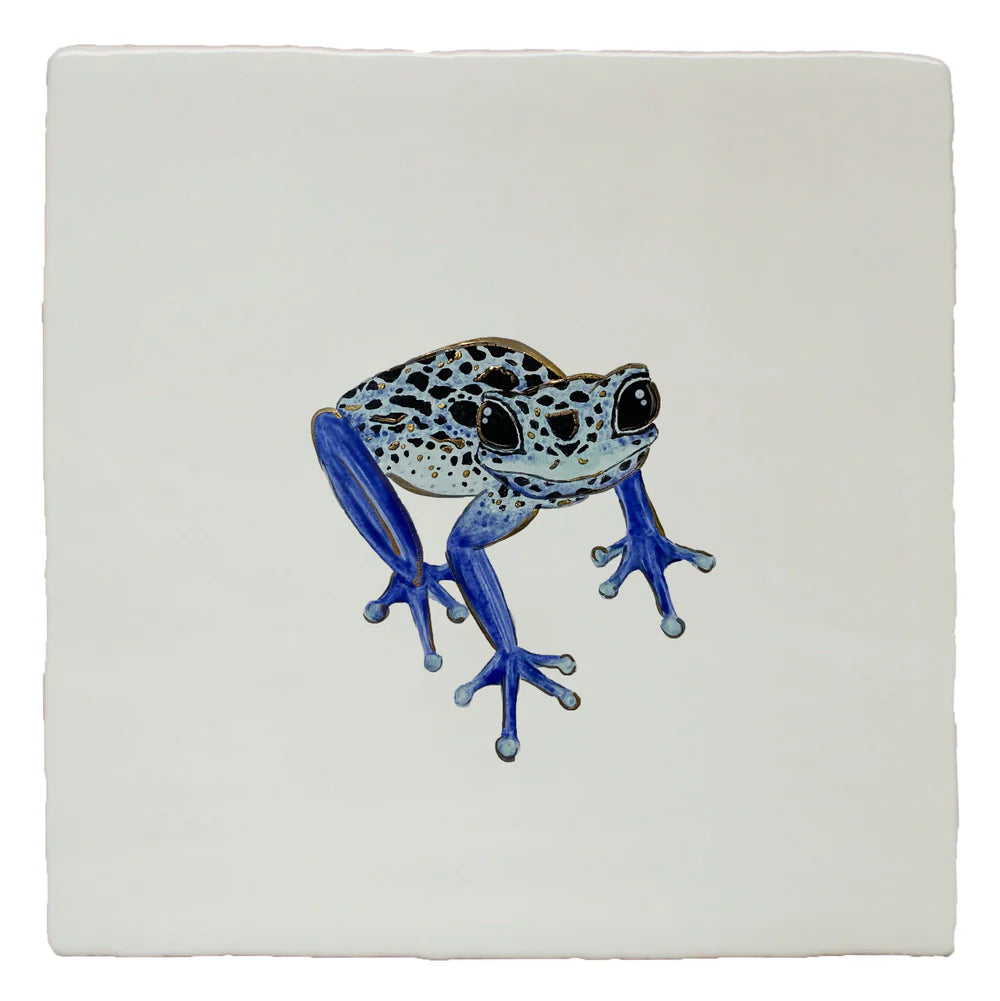 Glass House Poison Dart Frog Right 13x13cm