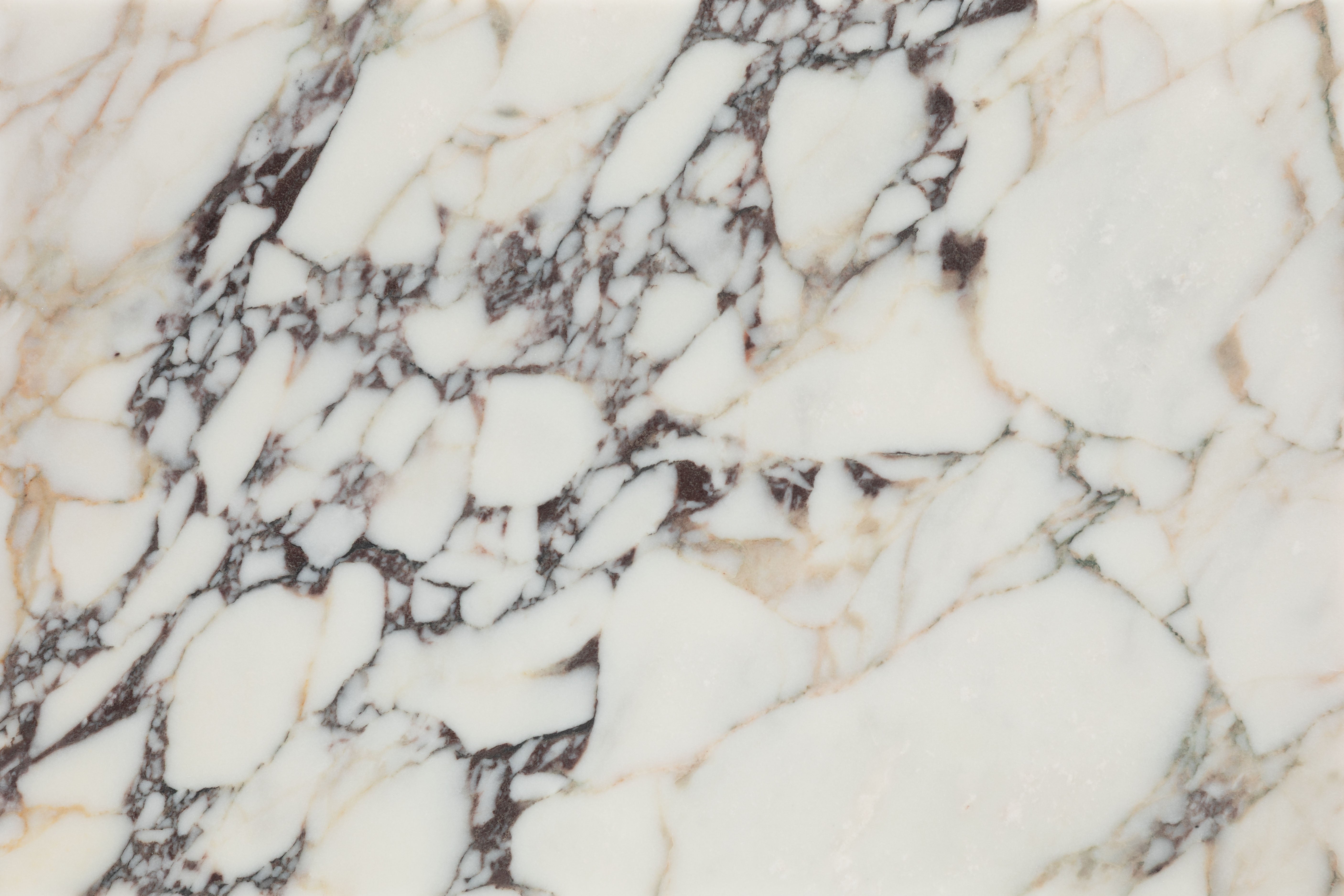 Medici Viola Honed Marble 40.6x61cm