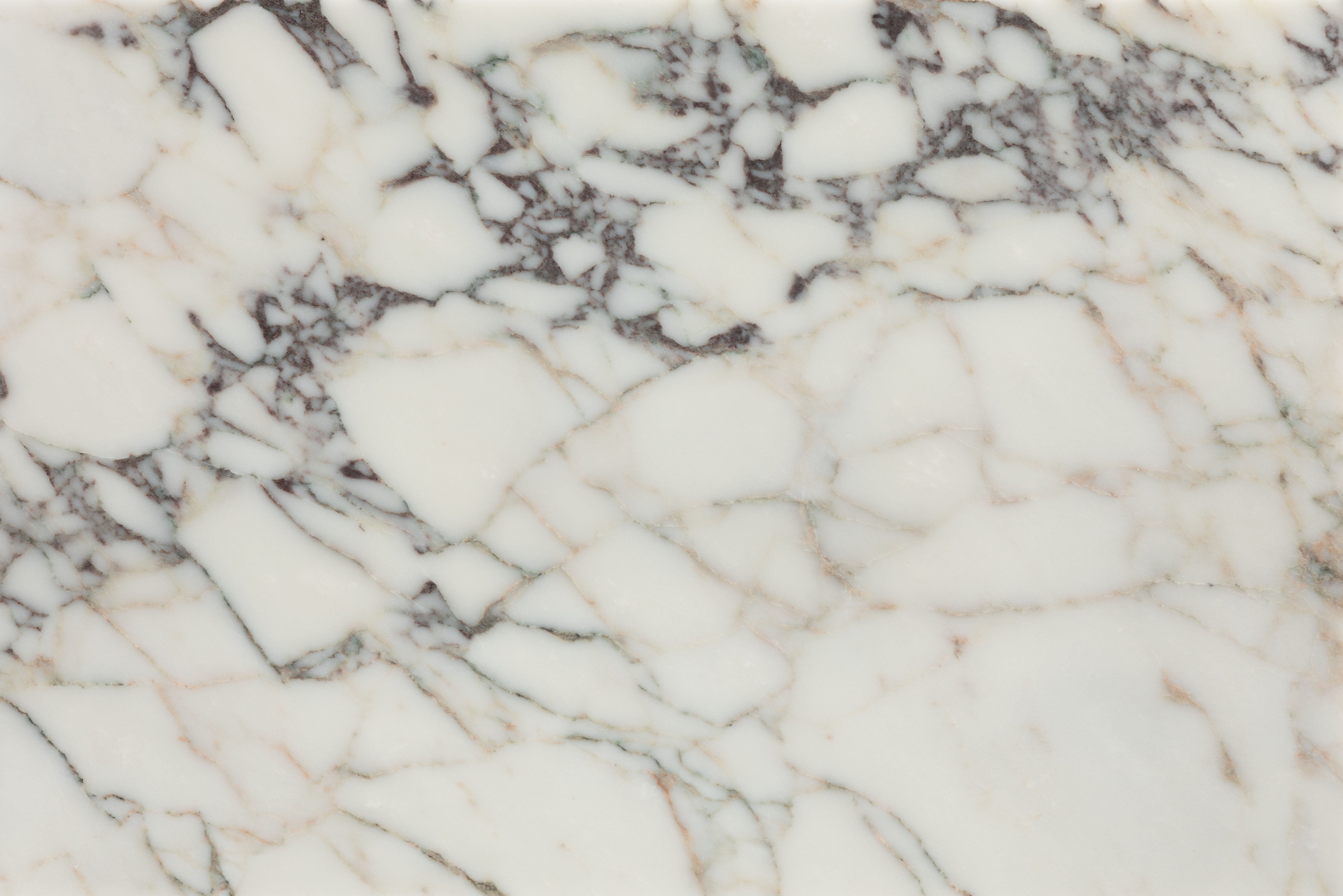 Medici Viola Honed Marble 40.6x61cm