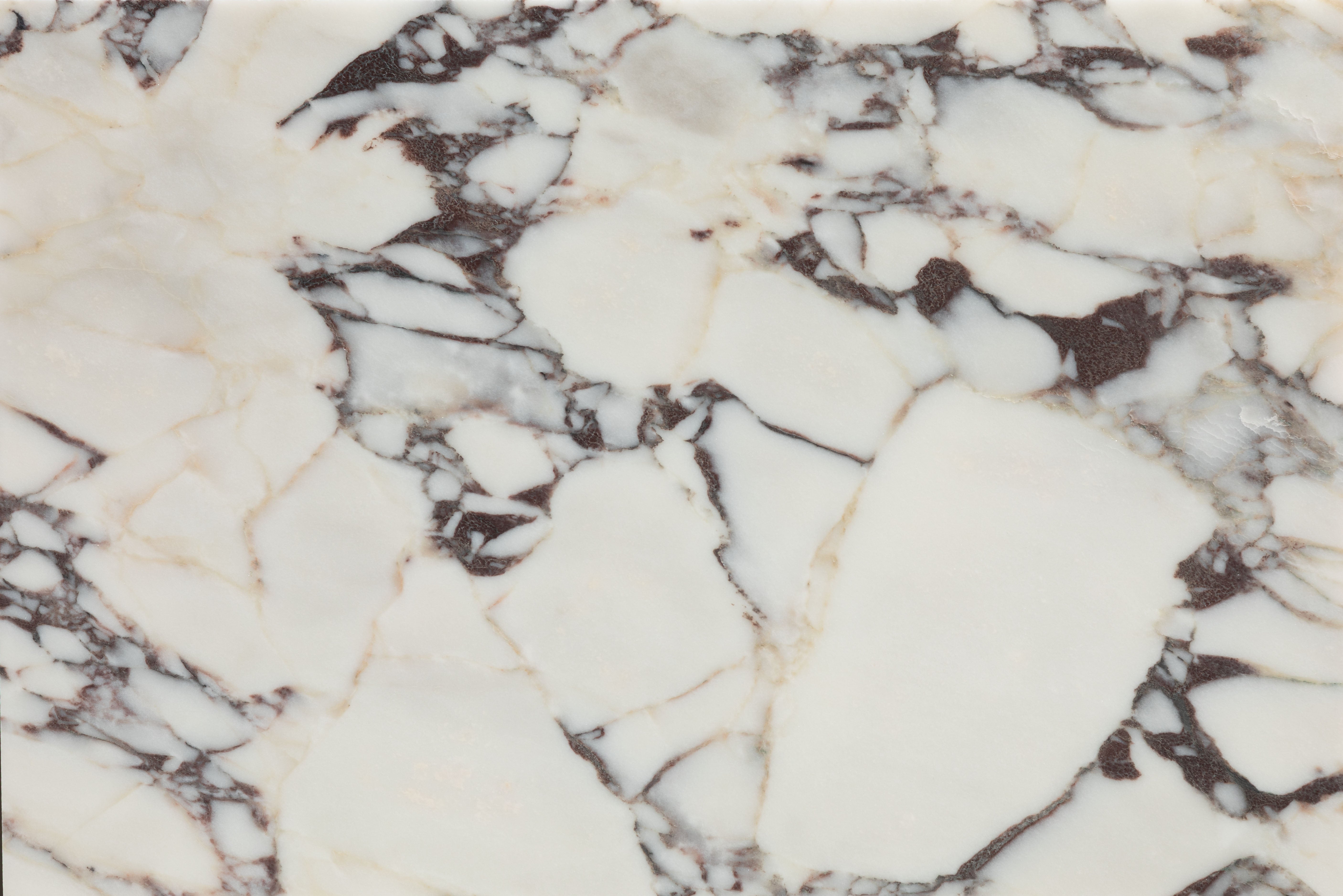 Medici Viola Honed Marble 40.6x61cm