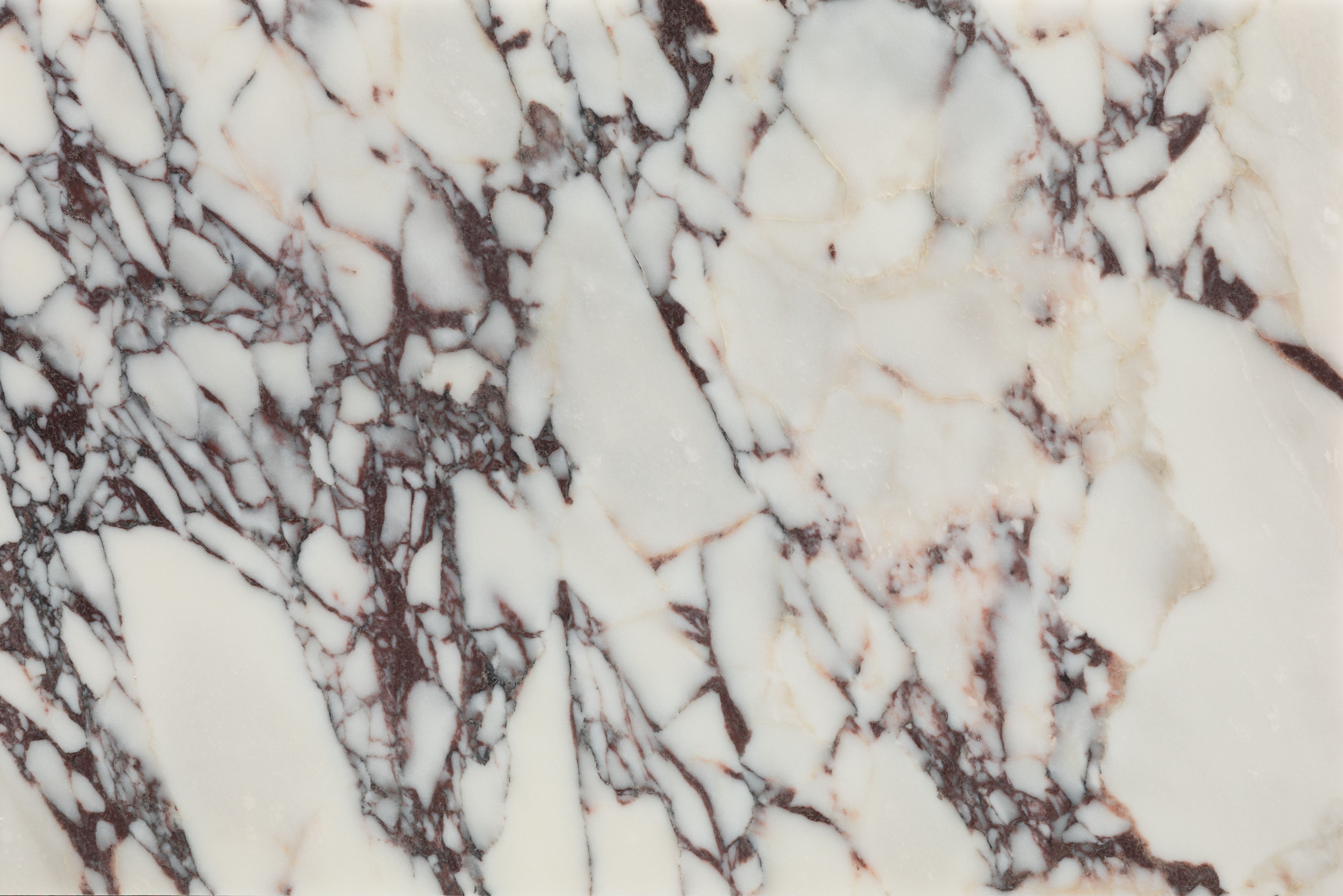 Medici Viola Honed Marble 40.6x61cm