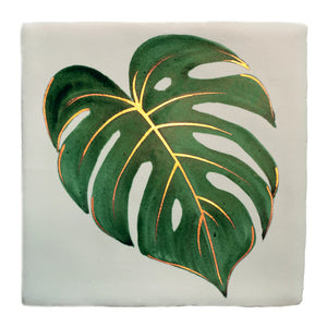Glass House Monstera 13x13cm
