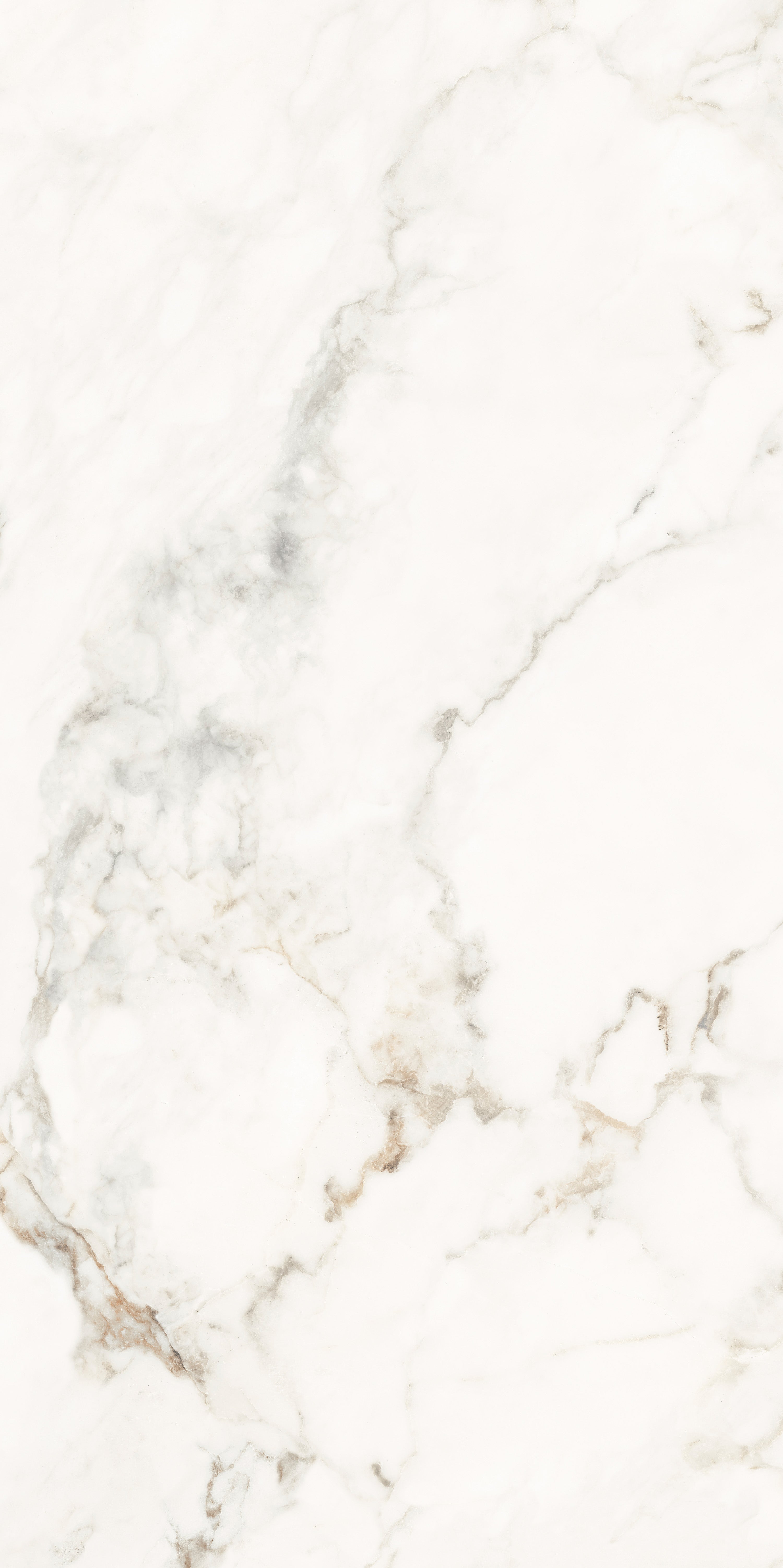 Muscat 60x120cm