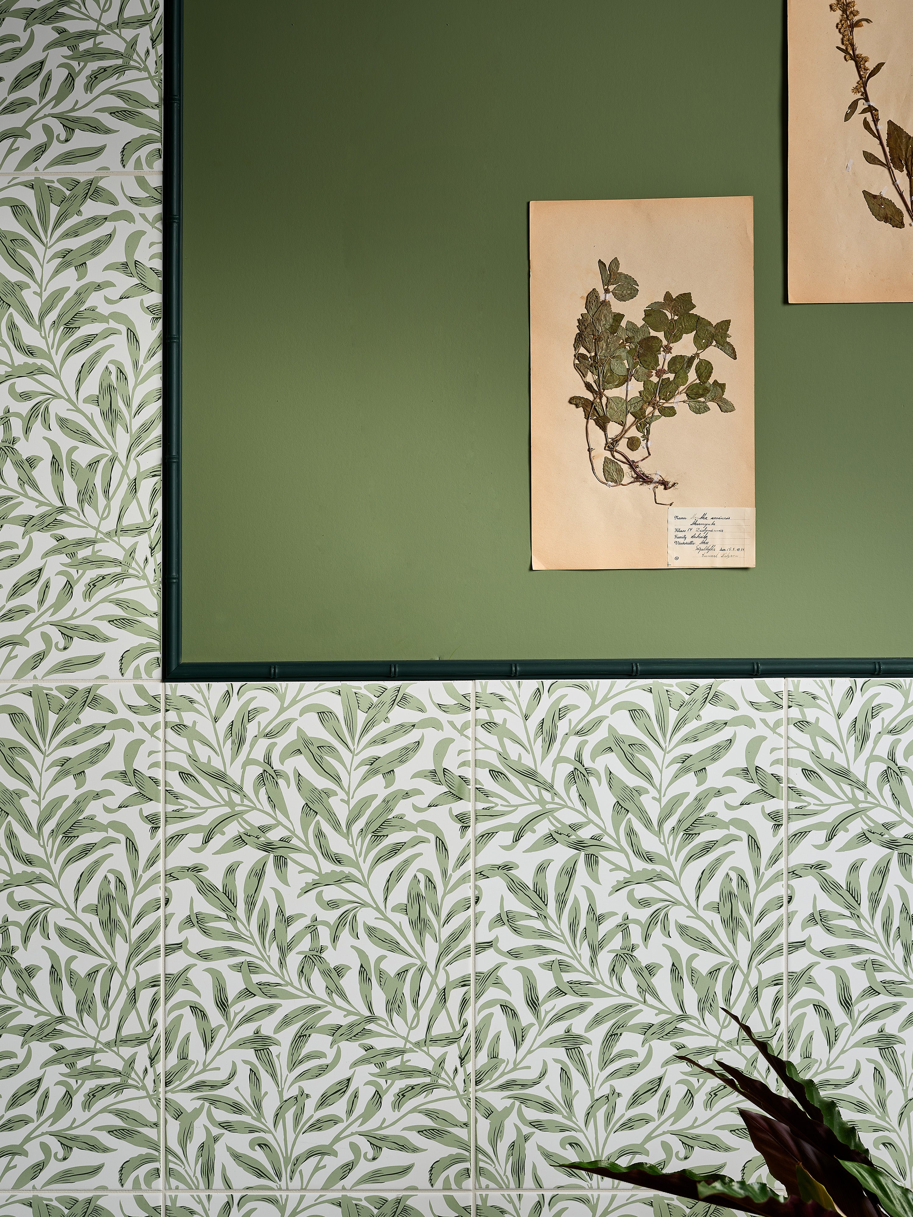 Ornamento Composite Bamboo Trim 1.9x103.9cm