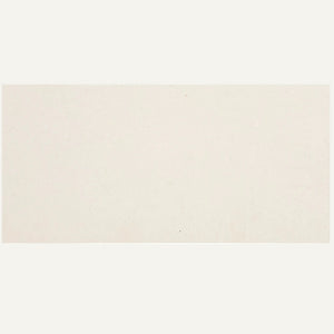 Palio Limestone 30.5x61cm