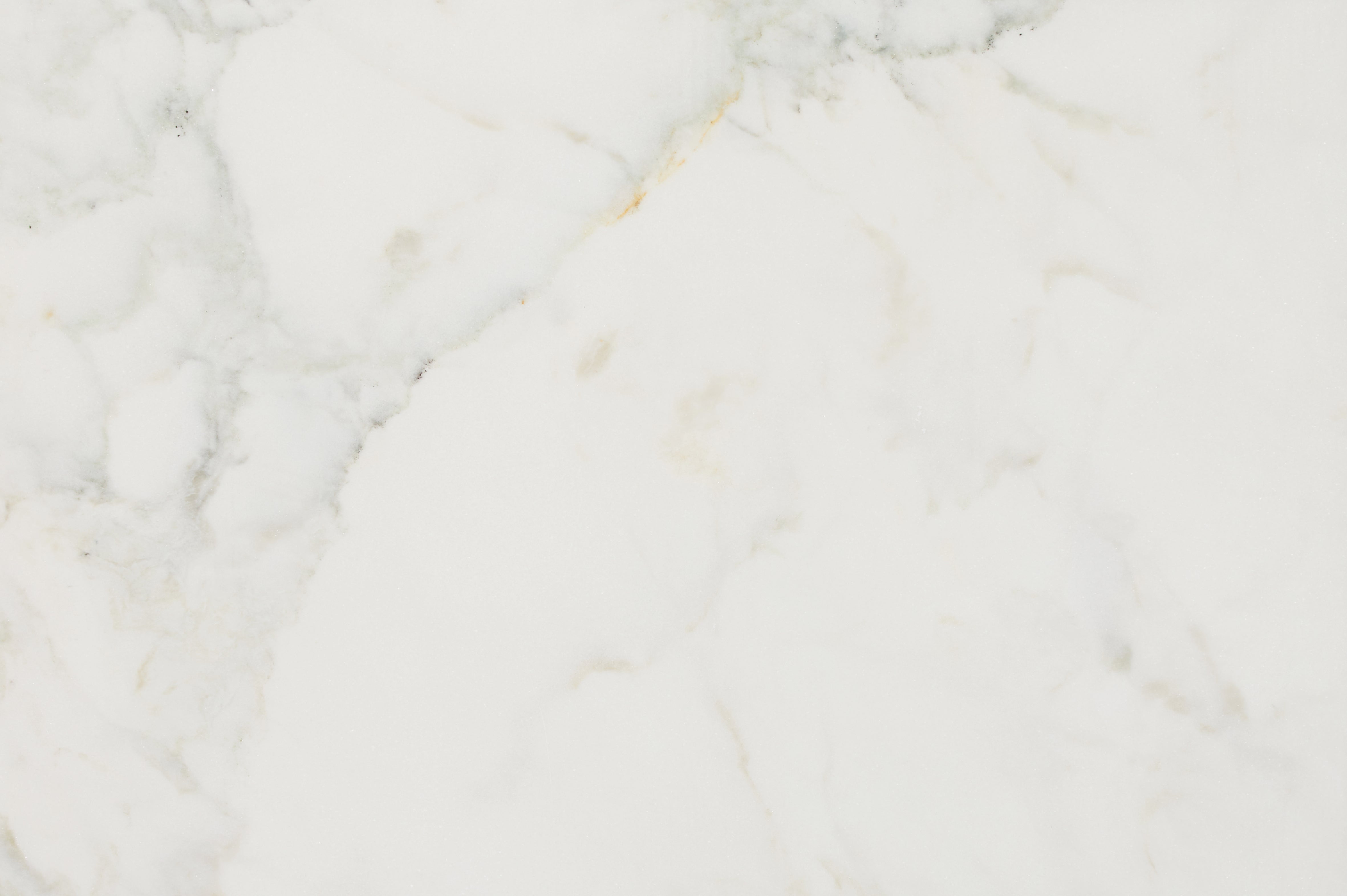 Palazzo Oro Honed Marble 40.6x61cm