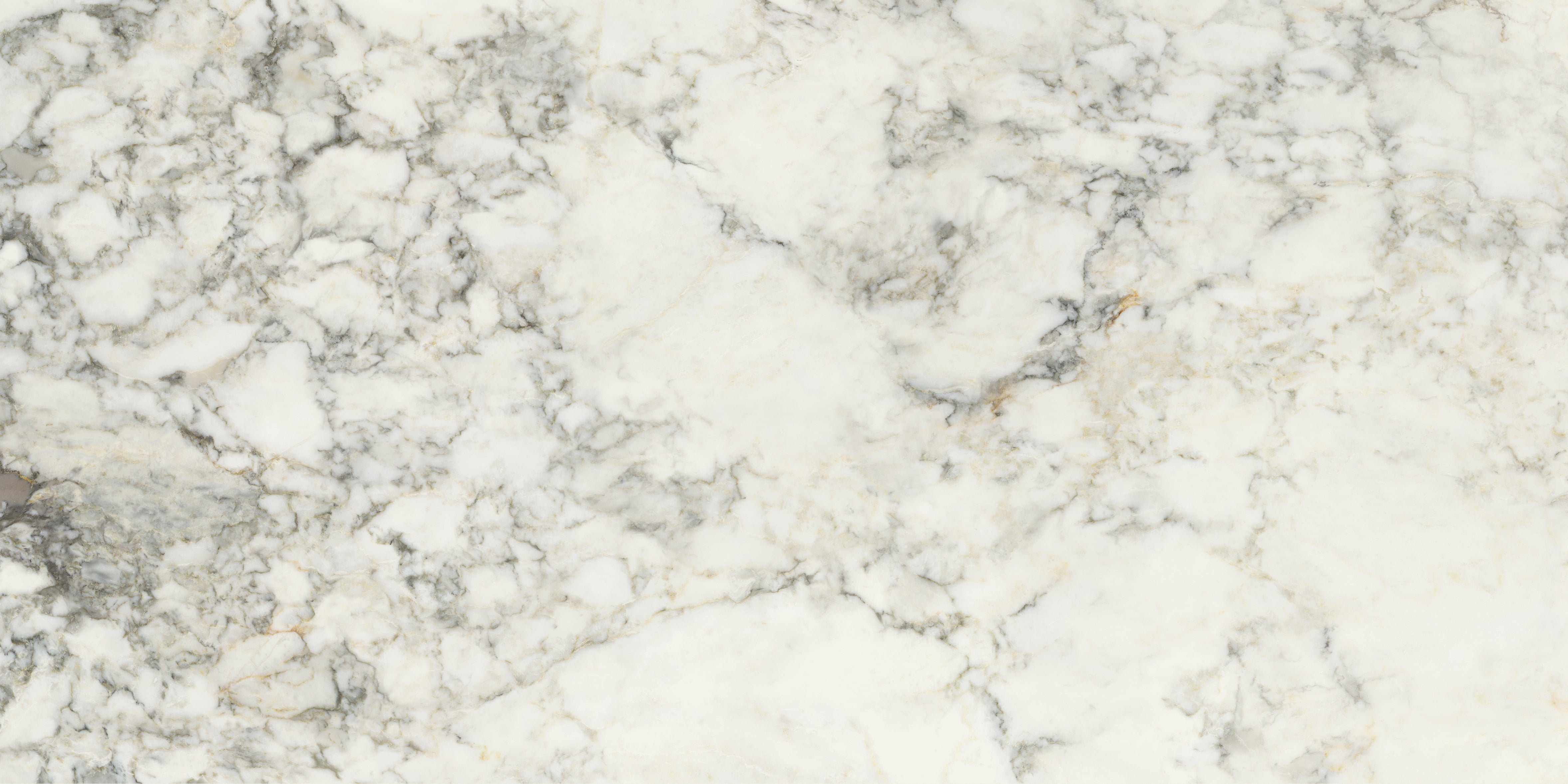 Palm Springs Italiana Plain 60x120cm