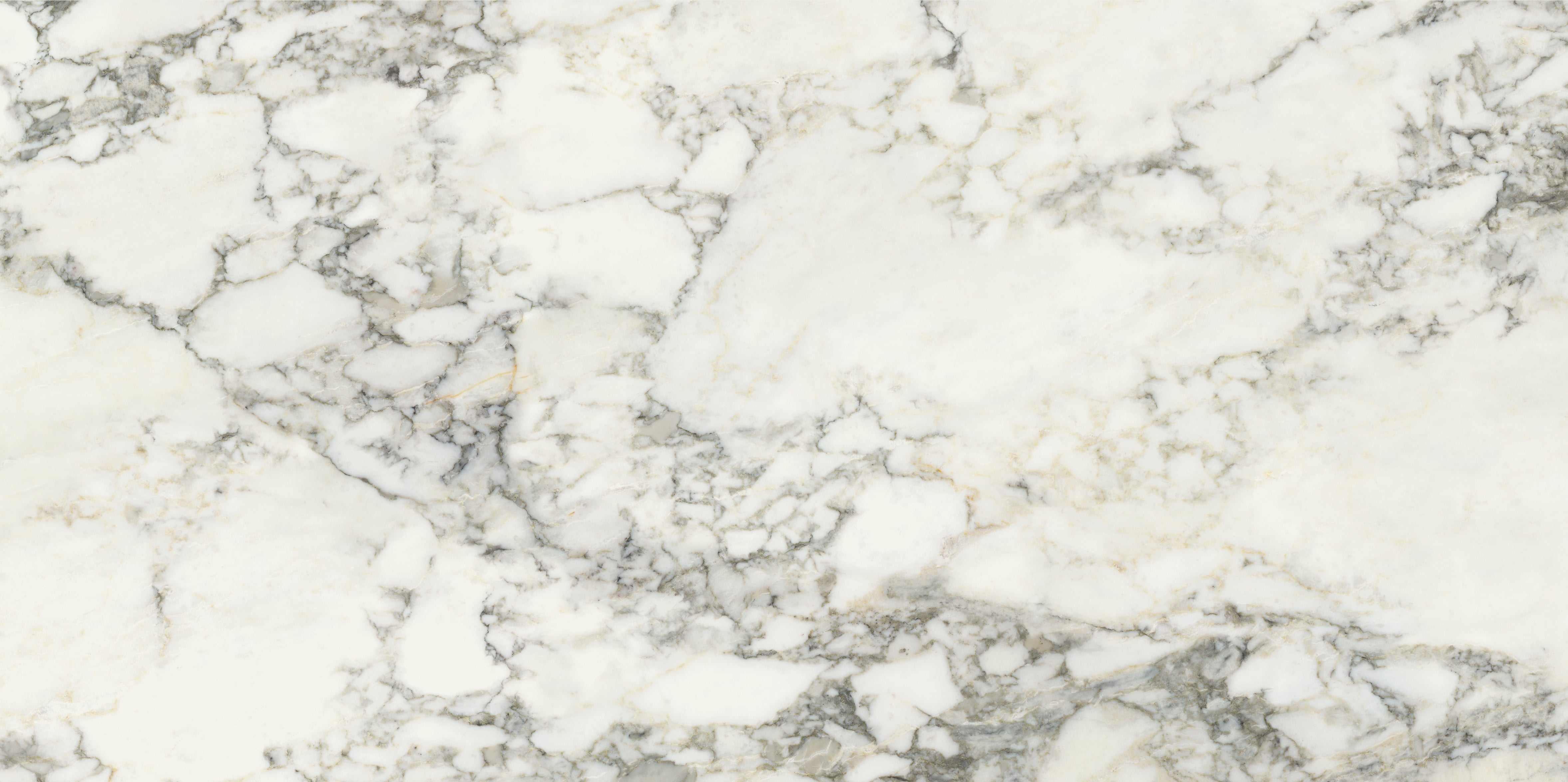 Palm Springs Italiana Plain 60x120cm