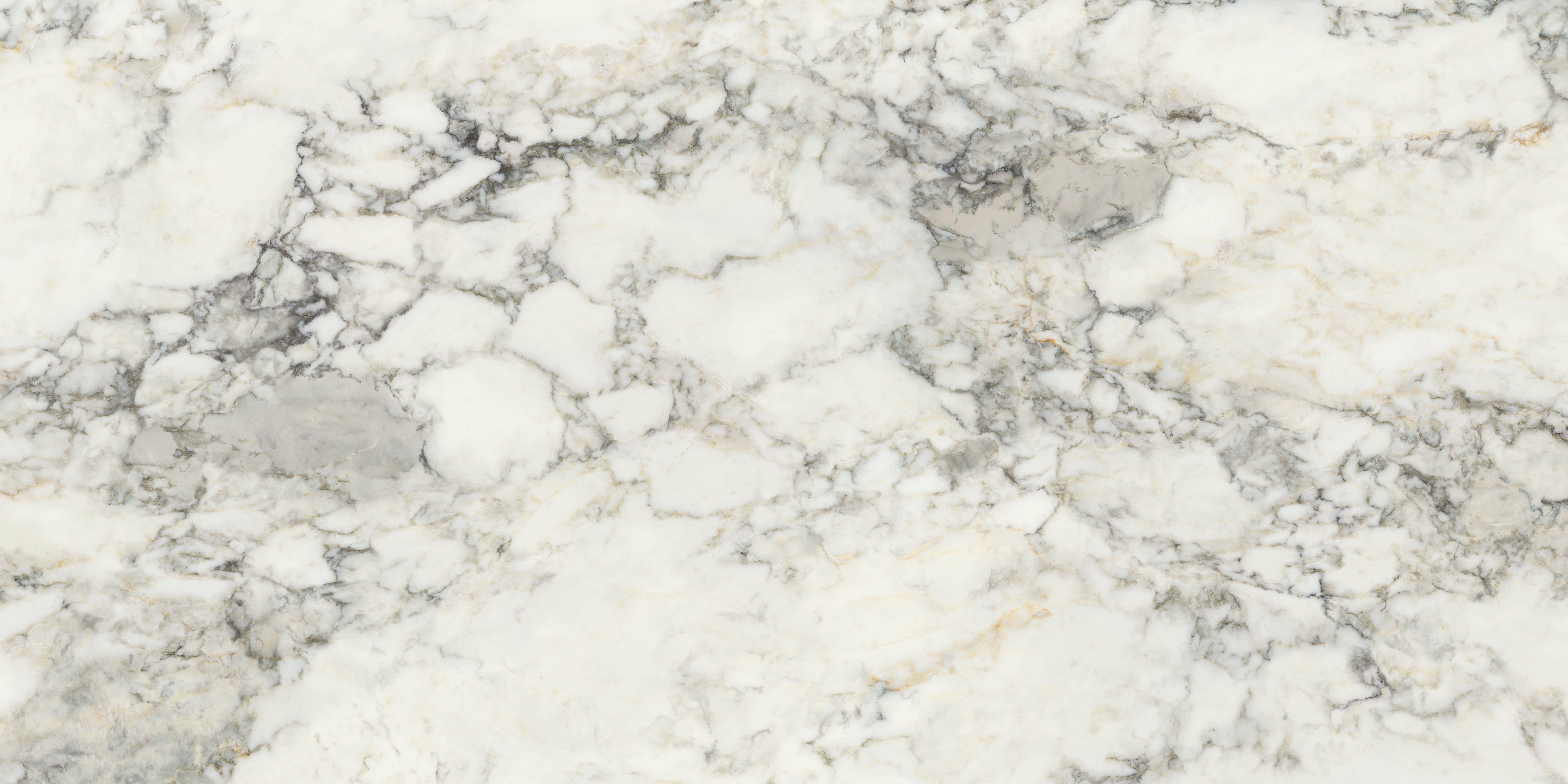 Palm Springs Italiana Plain 60x120cm