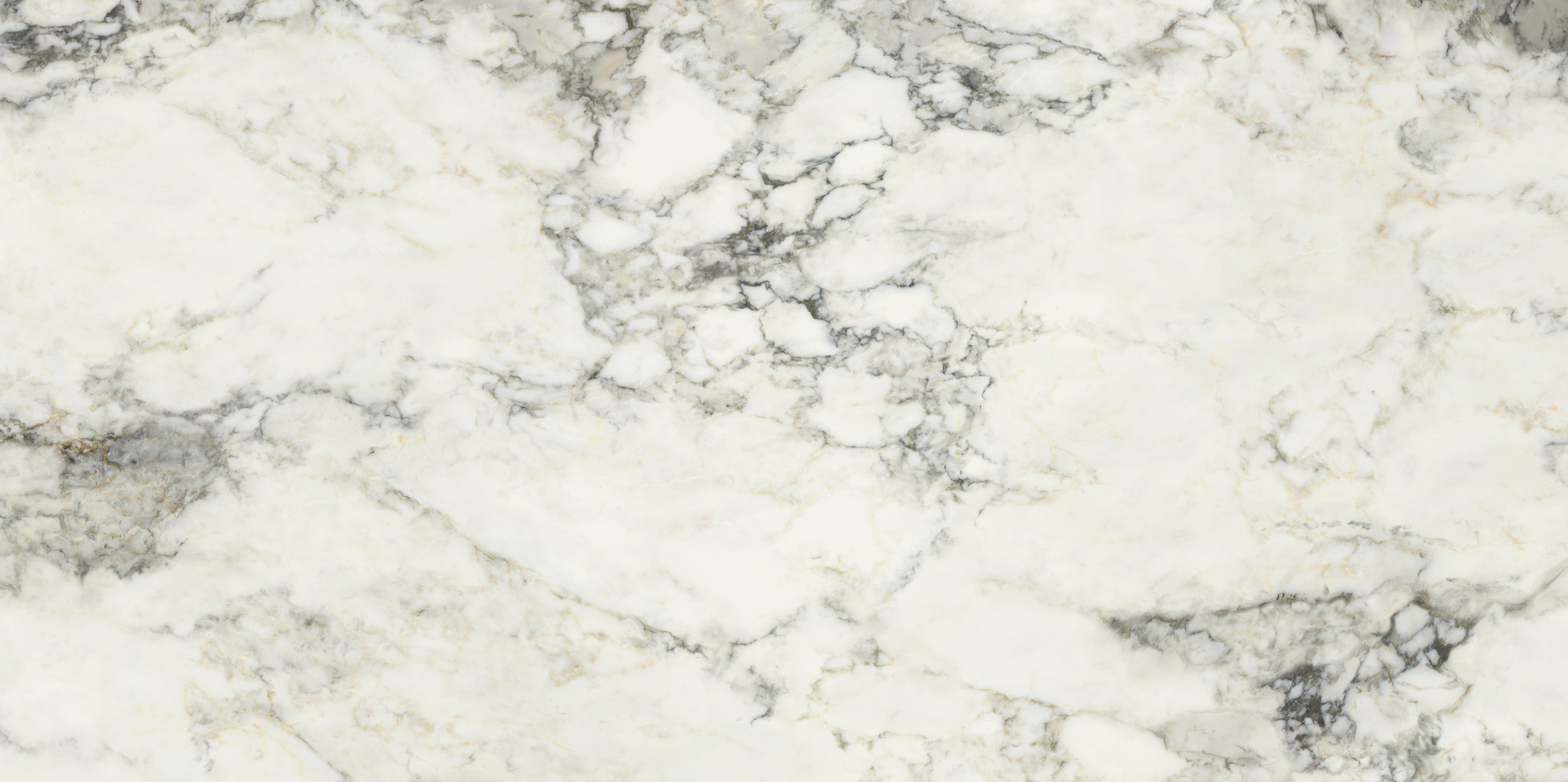 Palm Springs Italiana Plain 60x120cm