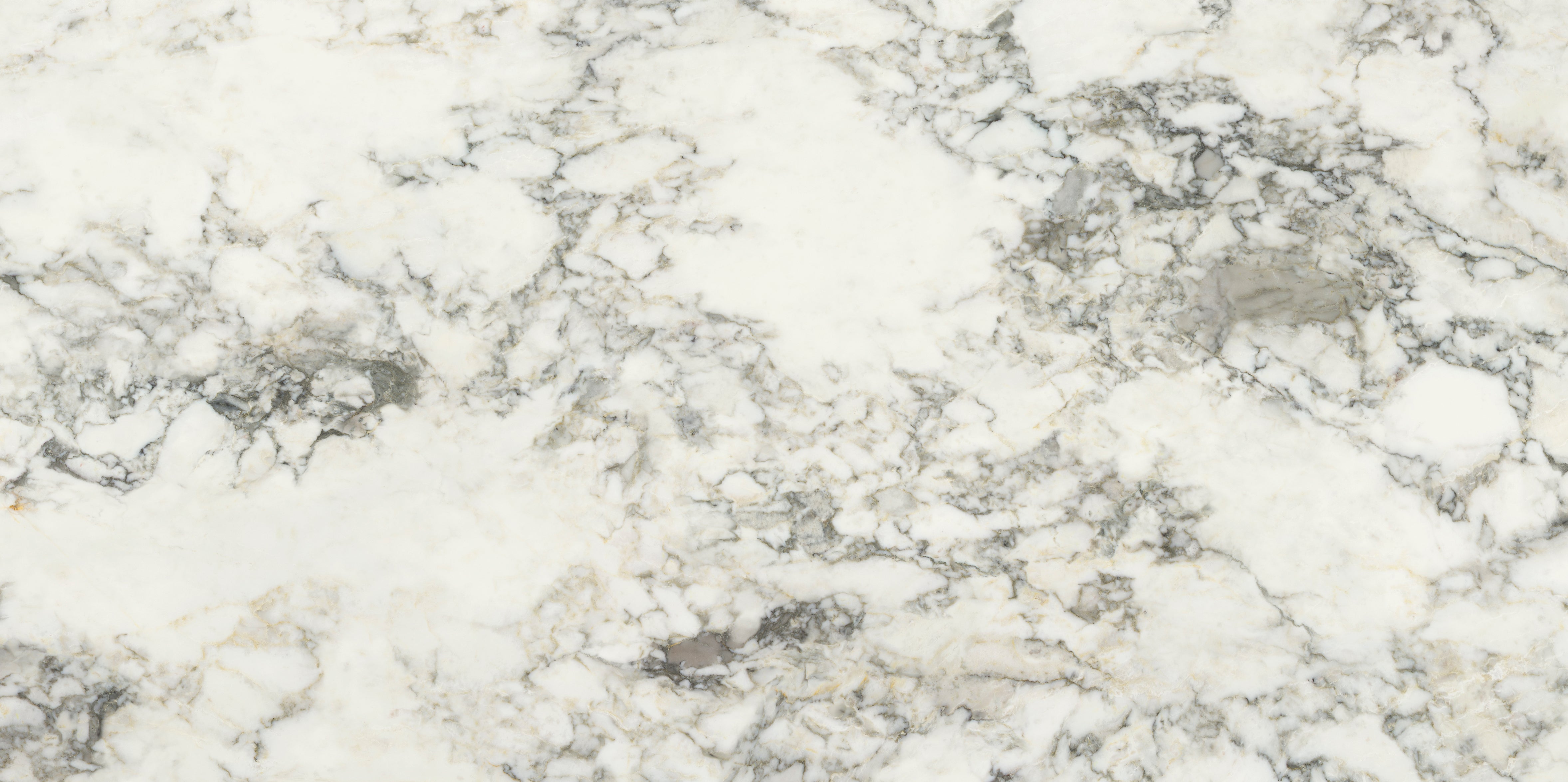 Palm Springs Italiana Plain 60x120cm