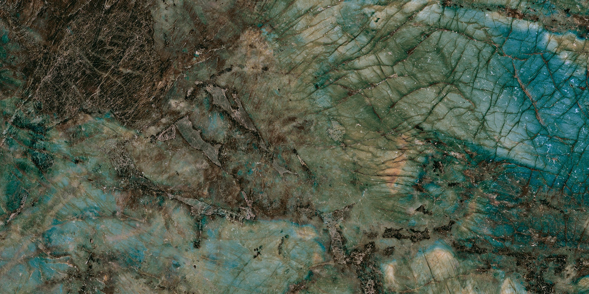 Rainforest Lemurian 60x120cm