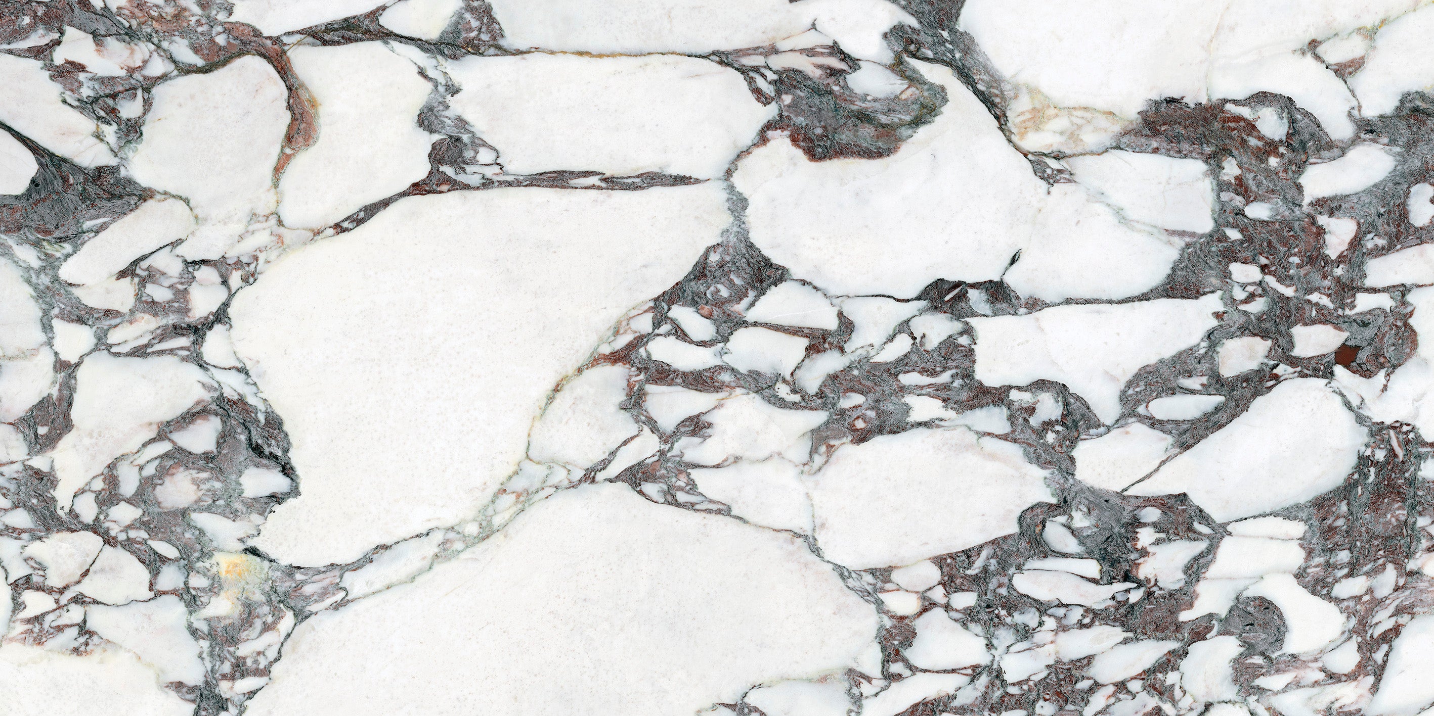 Savoy Novo Matt 60x120cm