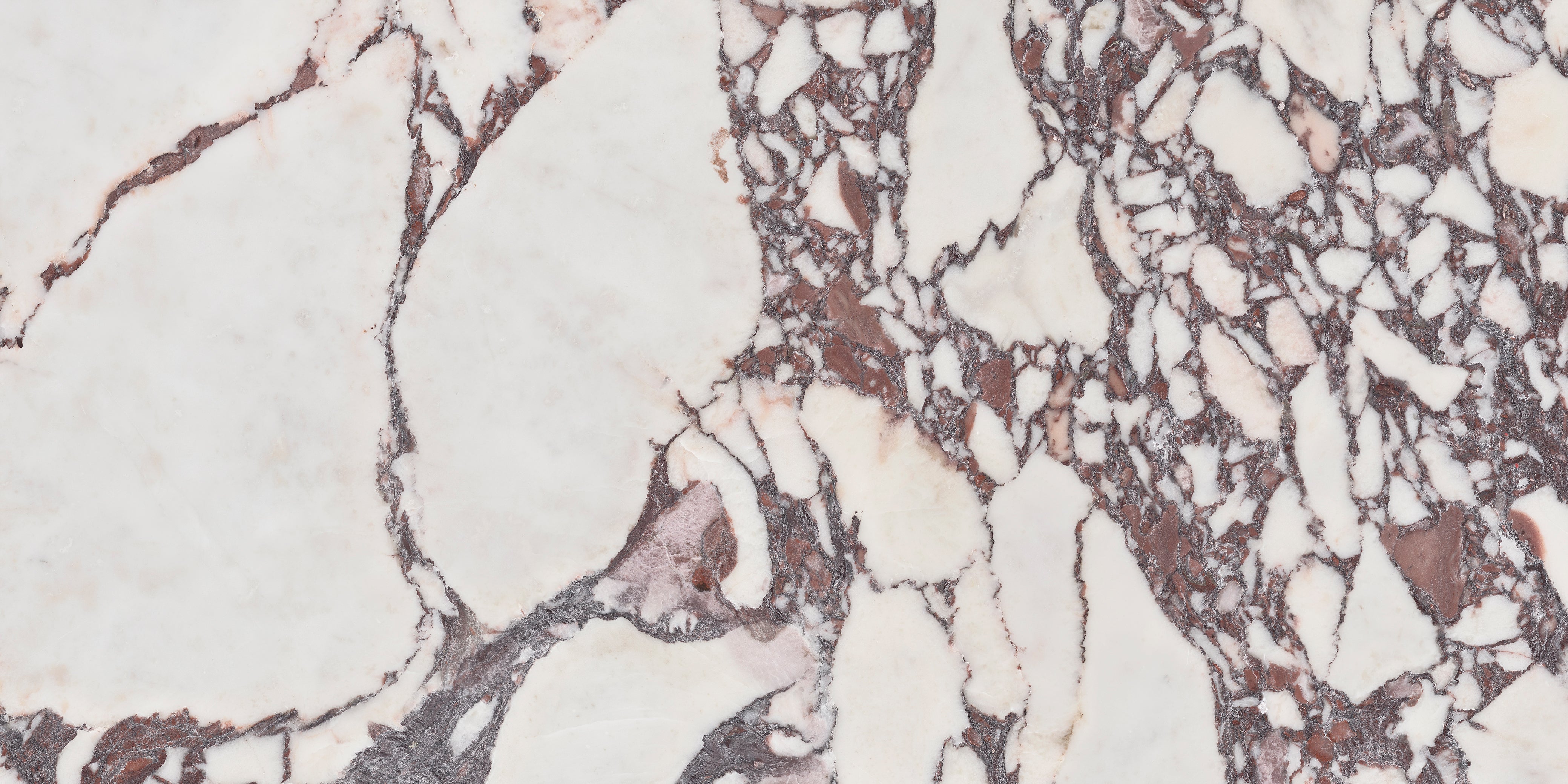 Savoy Polished 60x120cm