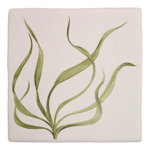 Seaweed Garden Sea Grass 13x13cm