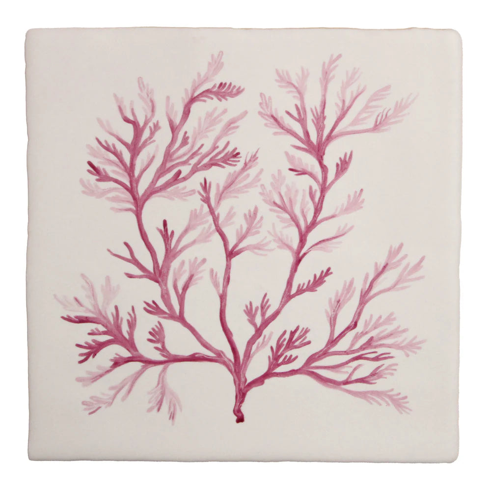 Seaweed Garden Soft Feather 13x13cm
