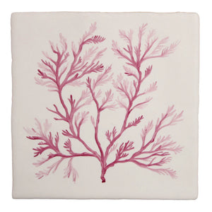 Seaweed Garden Soft Feather 13x13cm