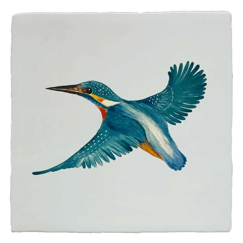 Garden Insects Willow Kingfisher Left 13x13cm