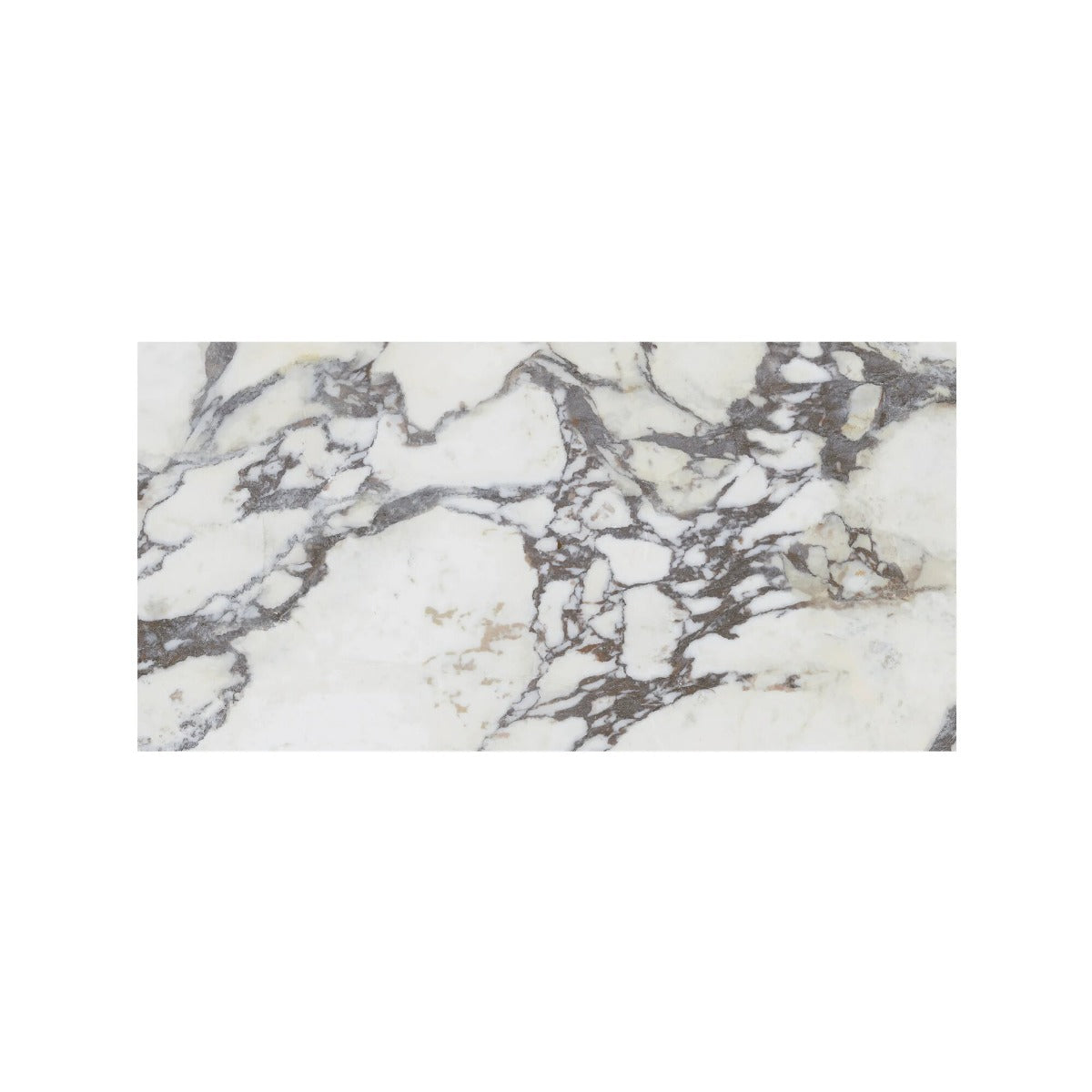 Lux Viola 60x120cm
