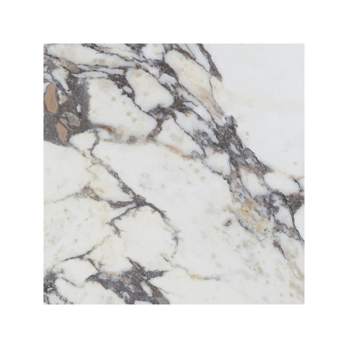 Lux Viola 60x60cm