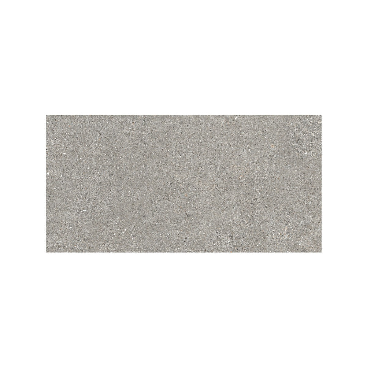 Piazza Grey 60x120cm