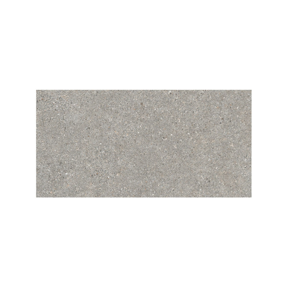 Piazza Grey 60x120cm