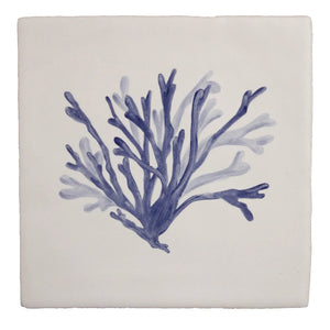 Seaweed Garden Channelled Wrack Delft 13x13cm