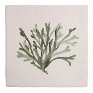 Seaweed Garden Channelled Wrack 13x13cm