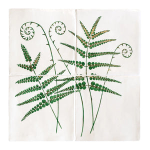 Glass House Cinnamon Fern 26x26cm Panel