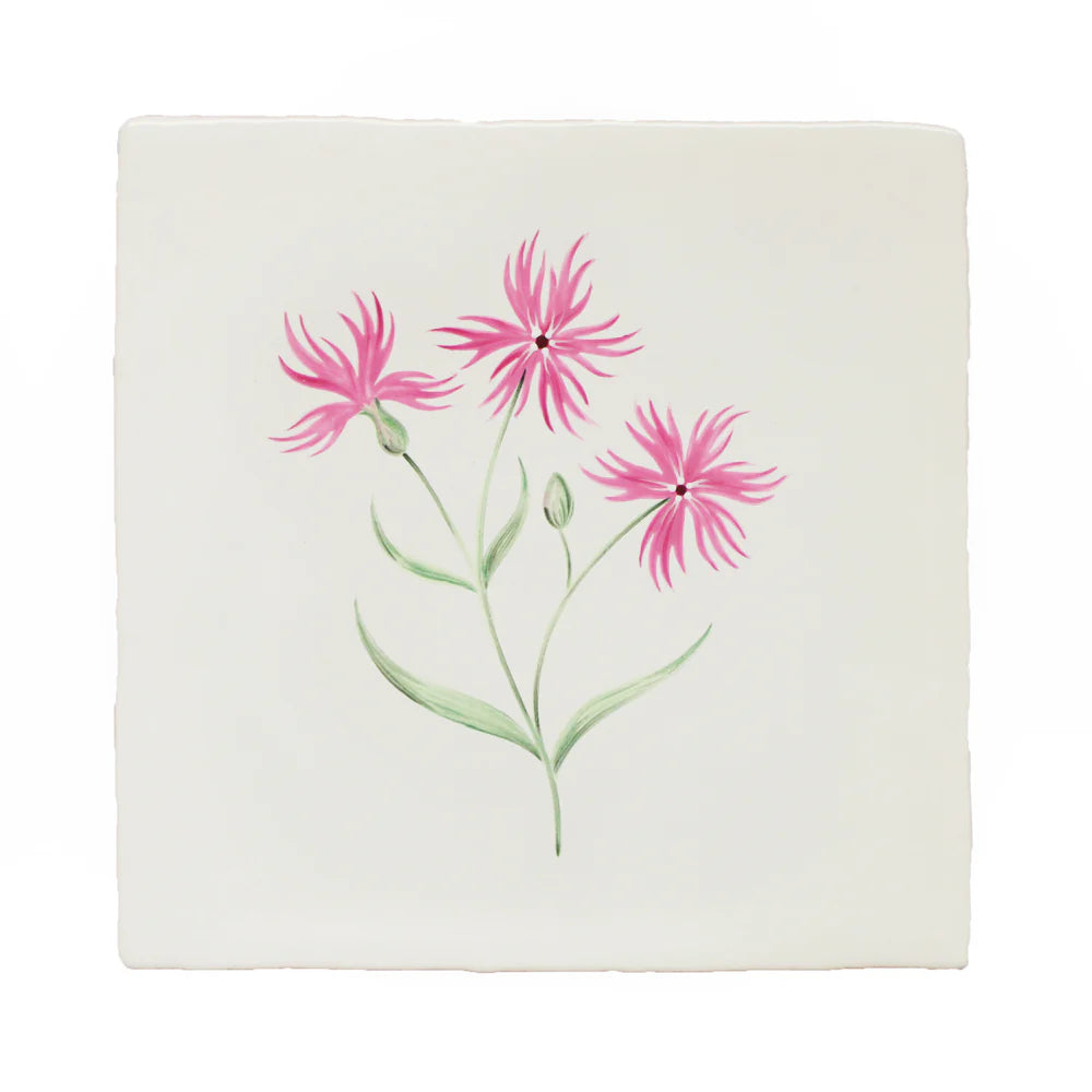 Cornish Meadow Ragged Robin 13x13cm