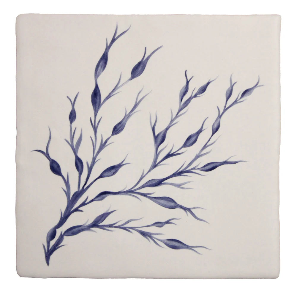 Seaweed Garden Egg Wrack Delft 13x13cm
