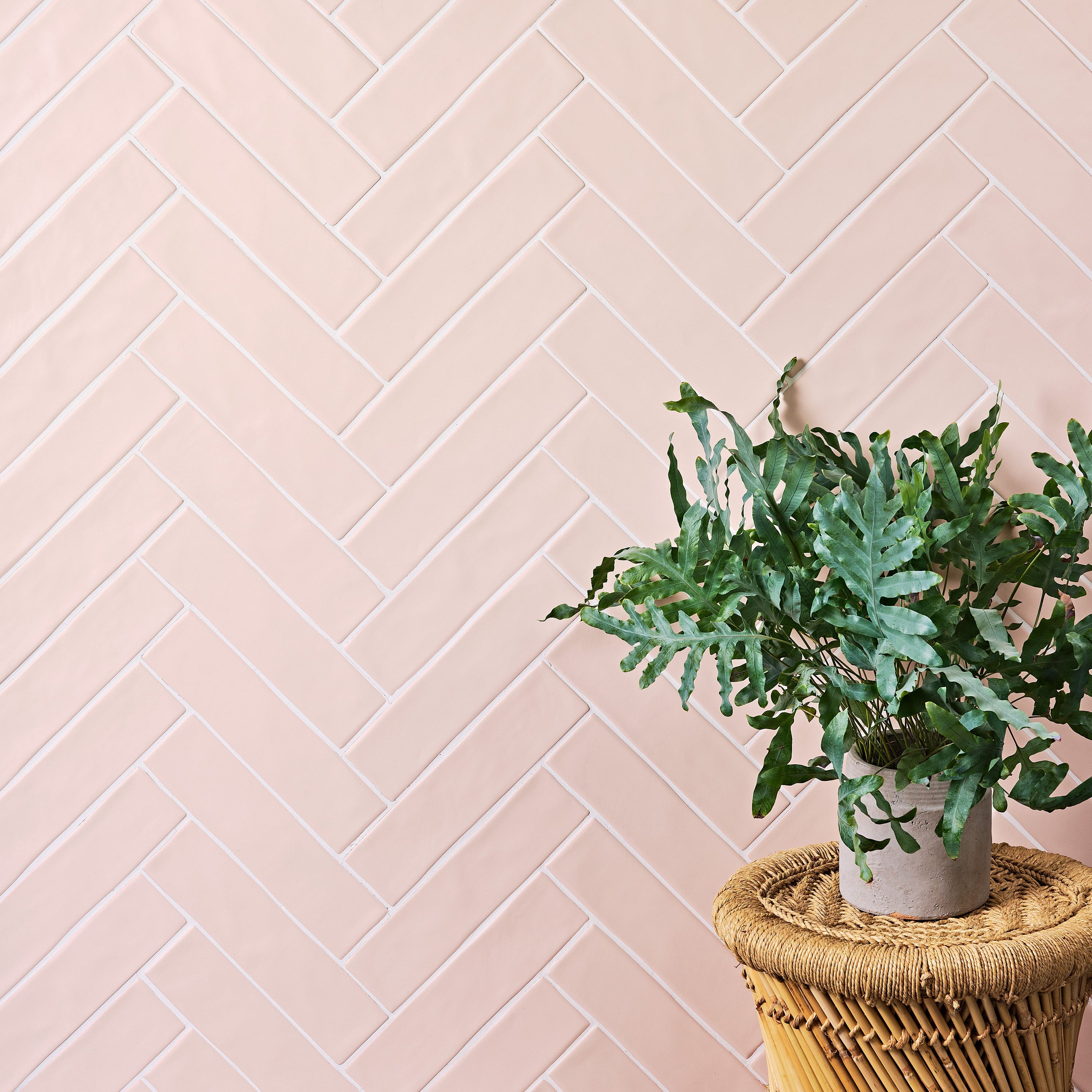 Fondant Matt Rose 7.5x30cm