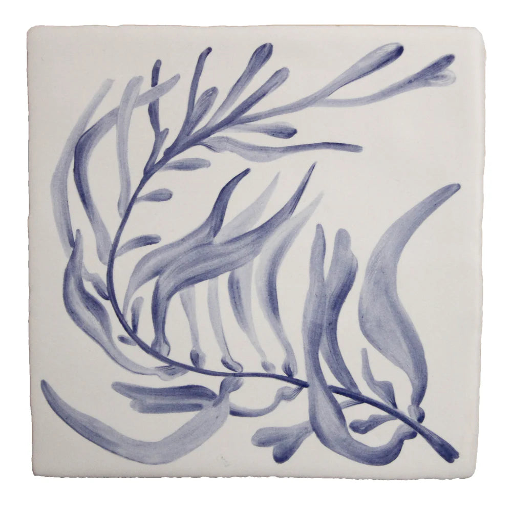 Seaweed Garden Giant Kelp Delft 13x13cm