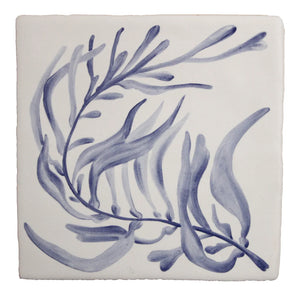 Seaweed Garden Giant Kelp Delft 13x13cm