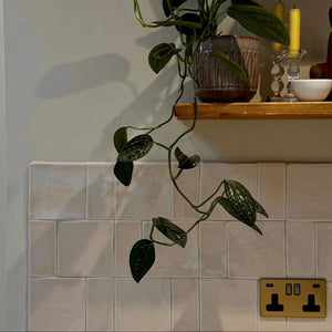 Jaipur Old Orchre 13x13cm