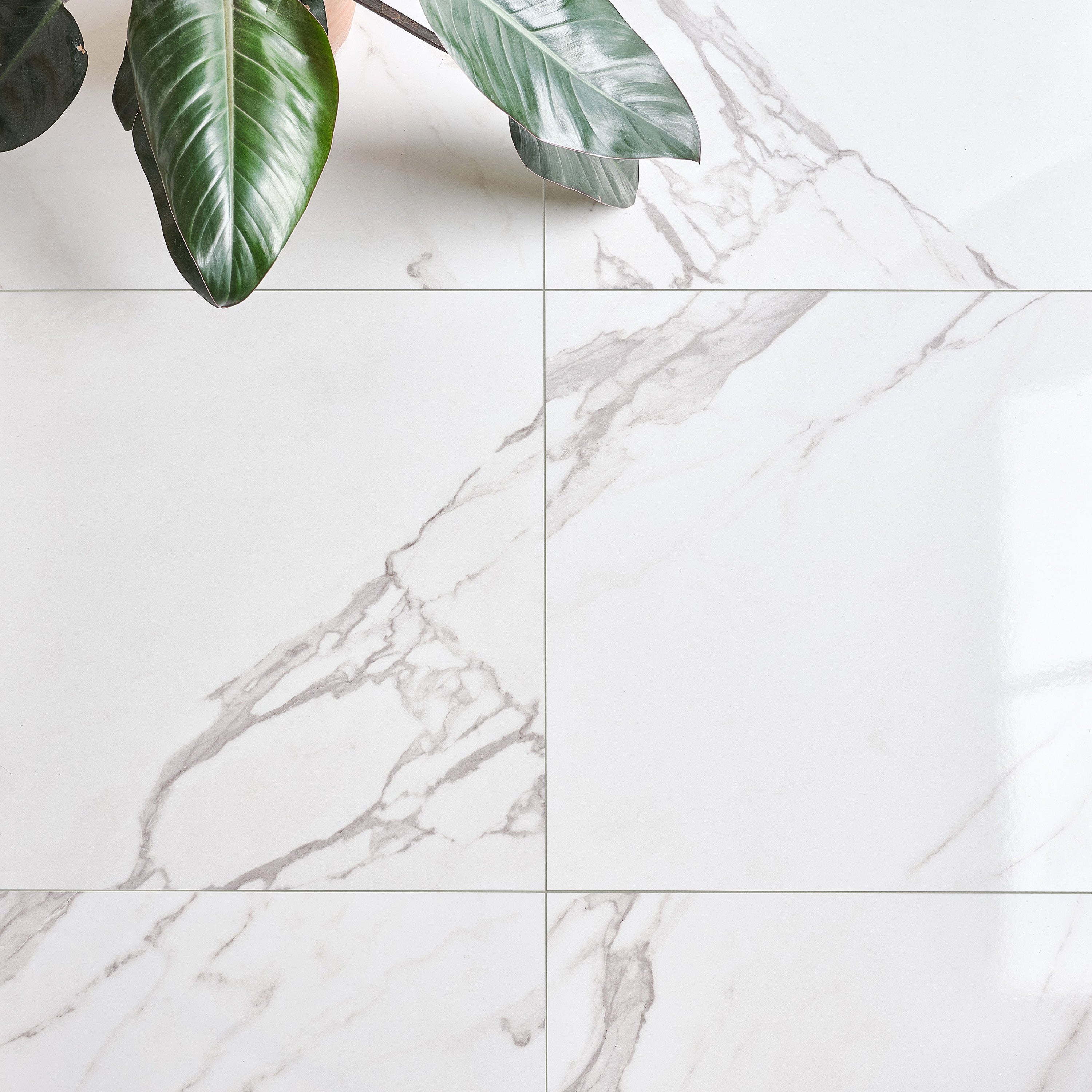 Kensington Gloss 60x60cm