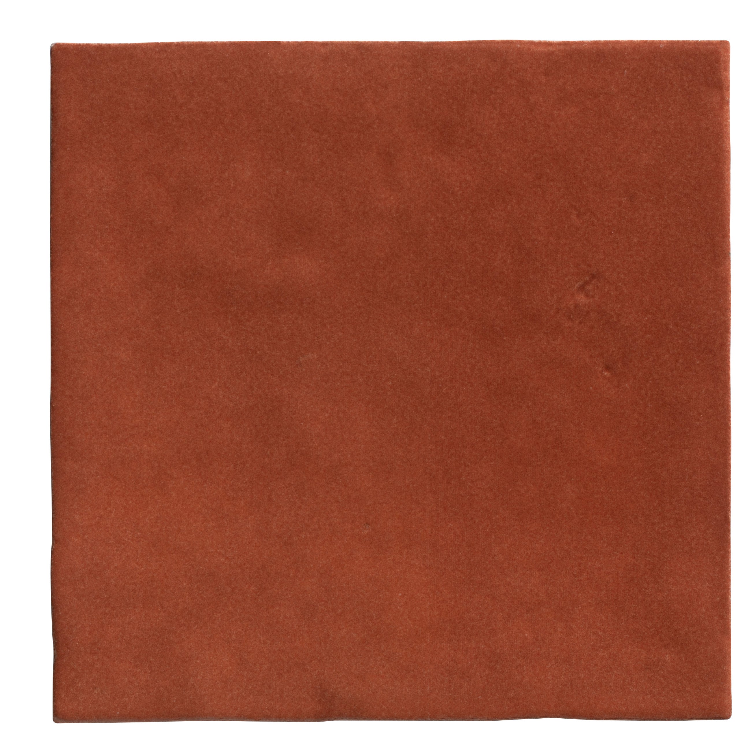 Maroc Tomato 9.9x9.9cm