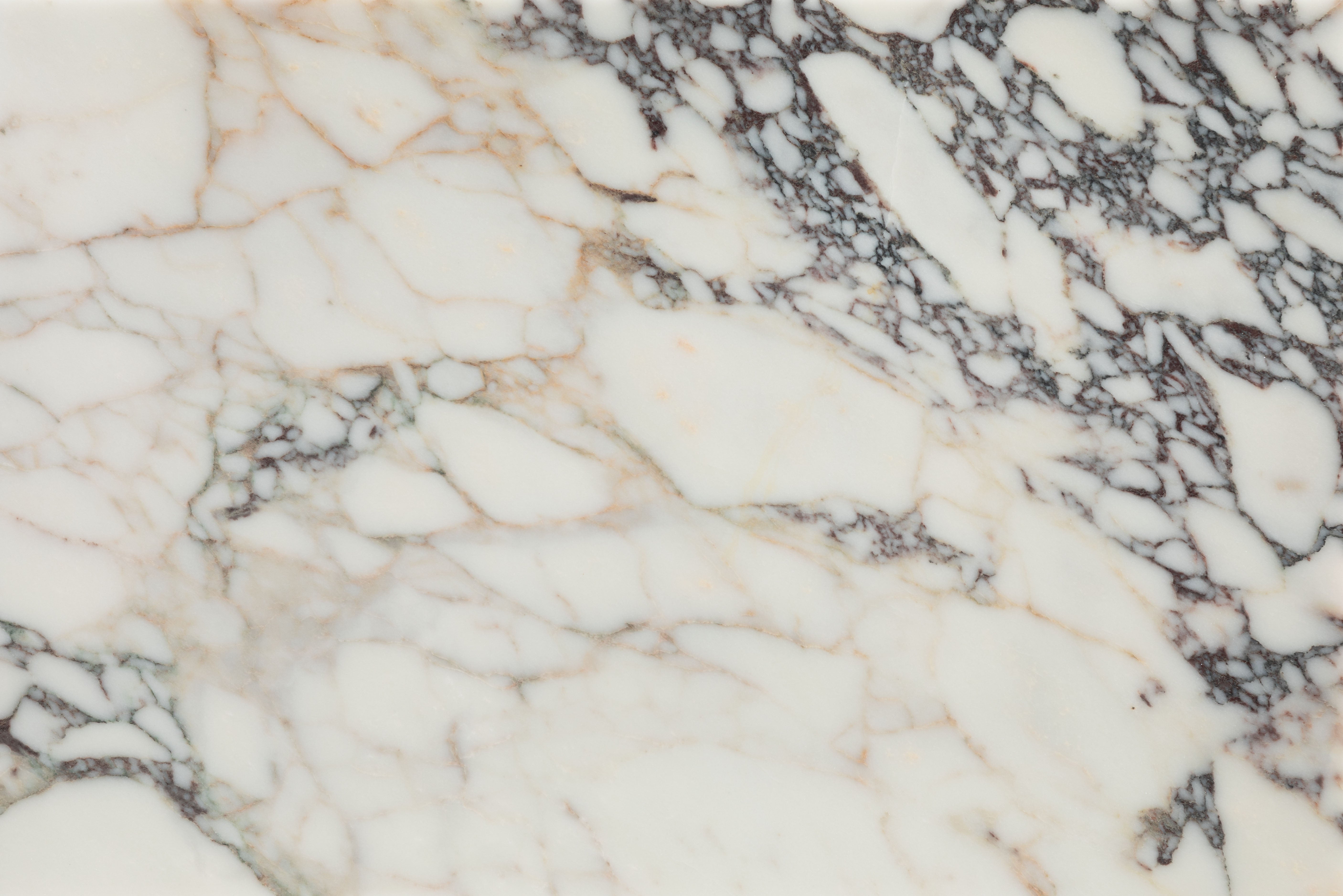 Medici Viola Honed Marble 40.6x61cm