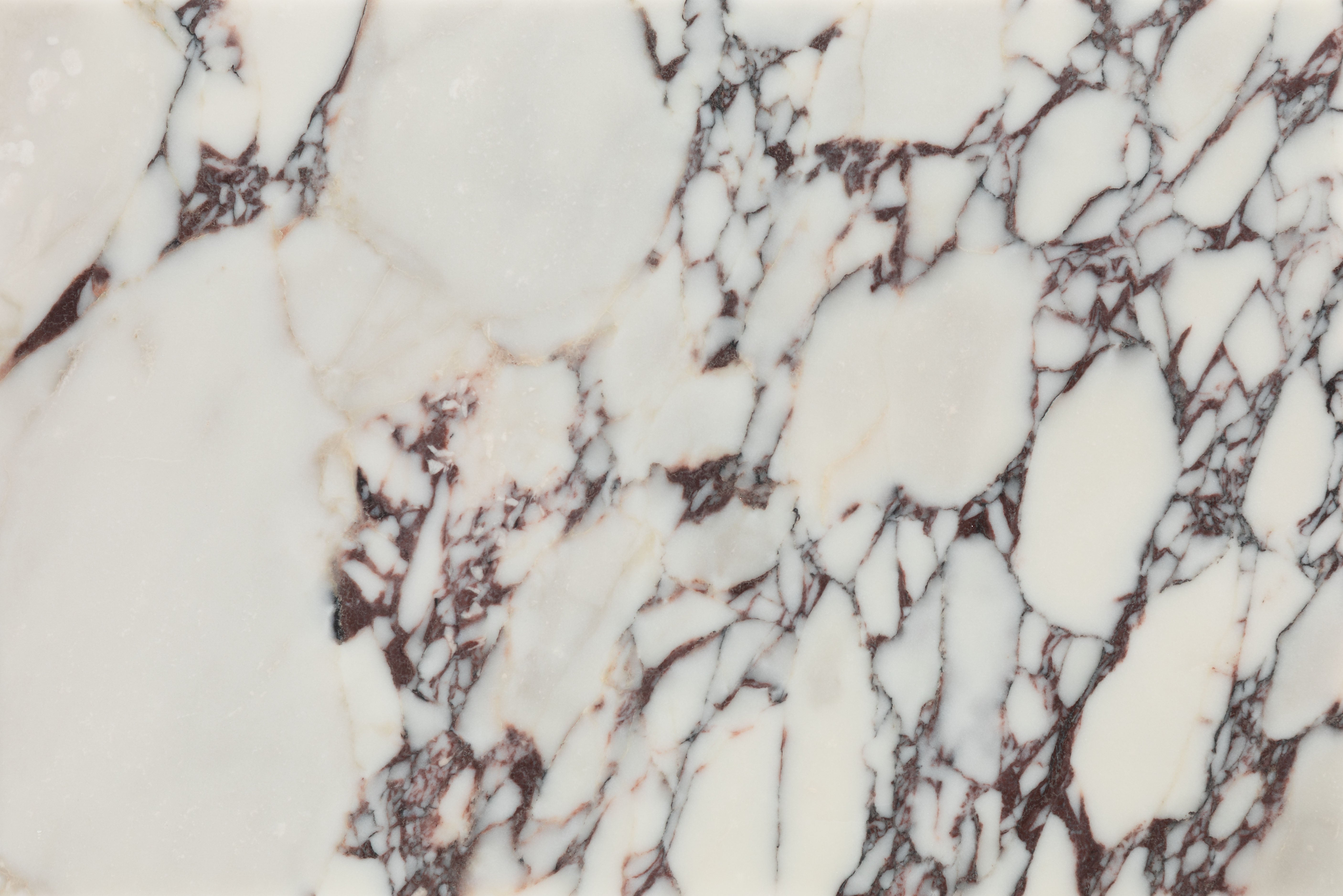 Medici Viola Honed Marble 40.6x61cm