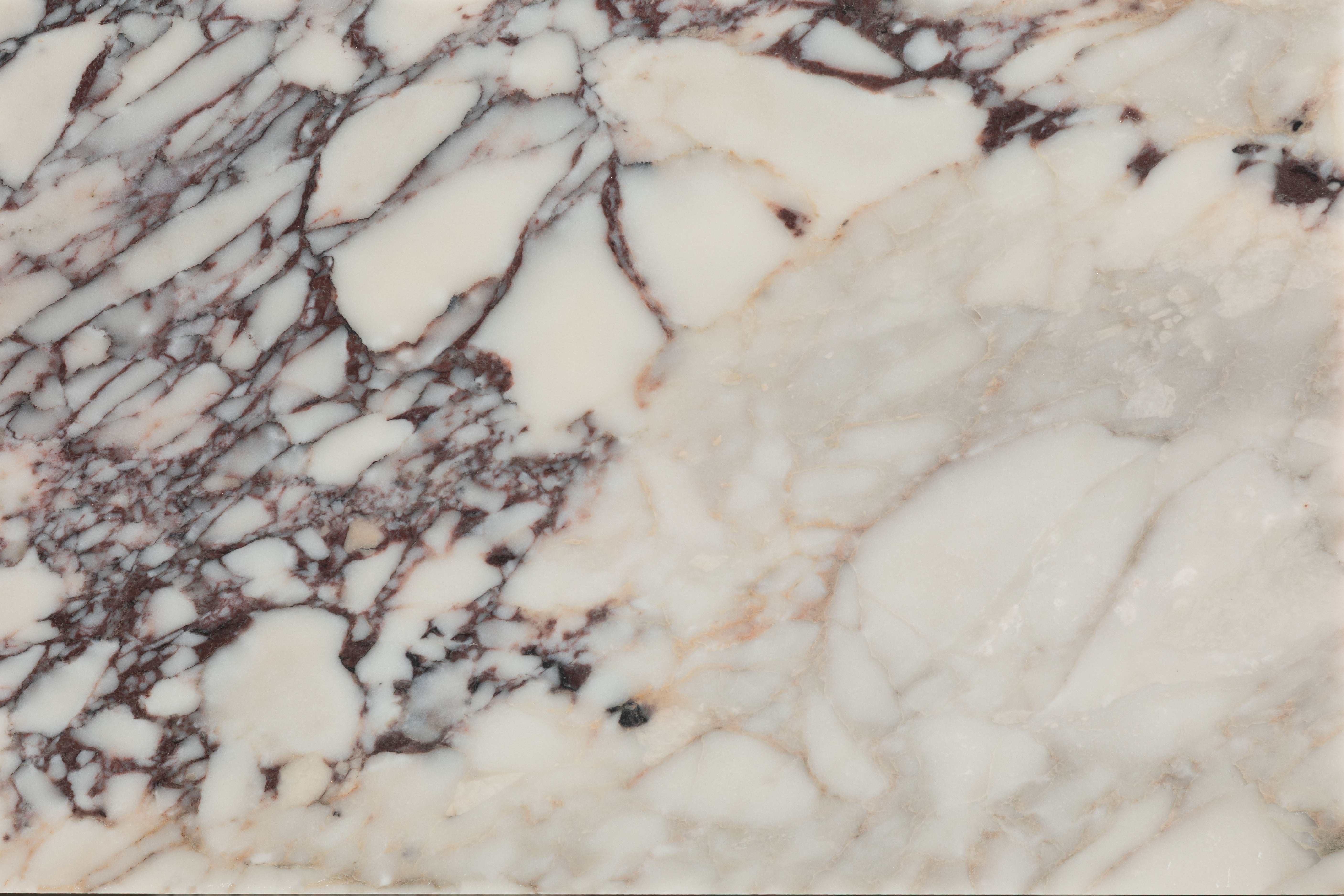 Medici Viola Honed Marble 40.6x61cm