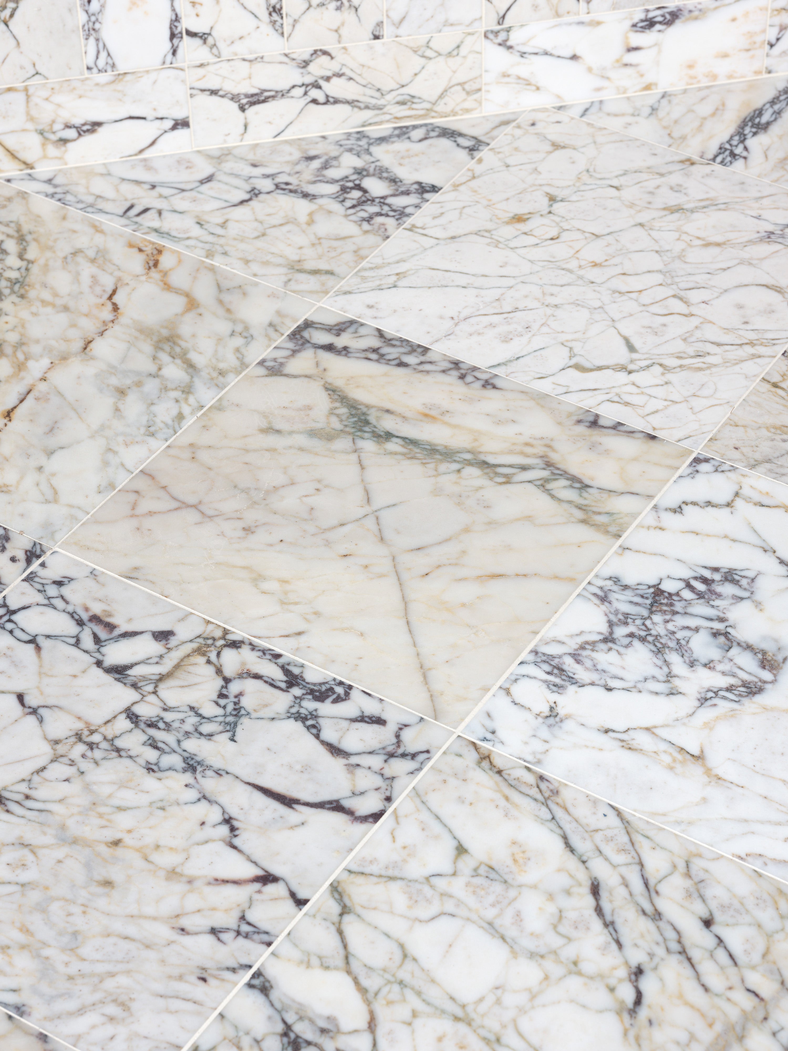 Medici Viola Honed Marble 40.6x61cm