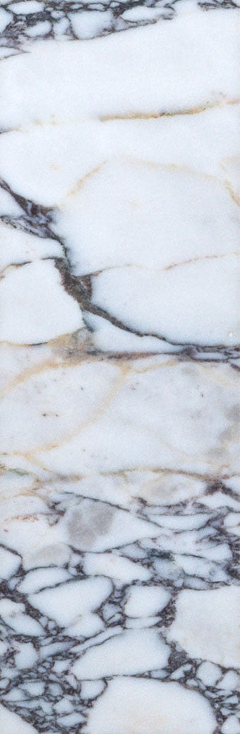Medici Viola Honed Marble 10x30.5cm