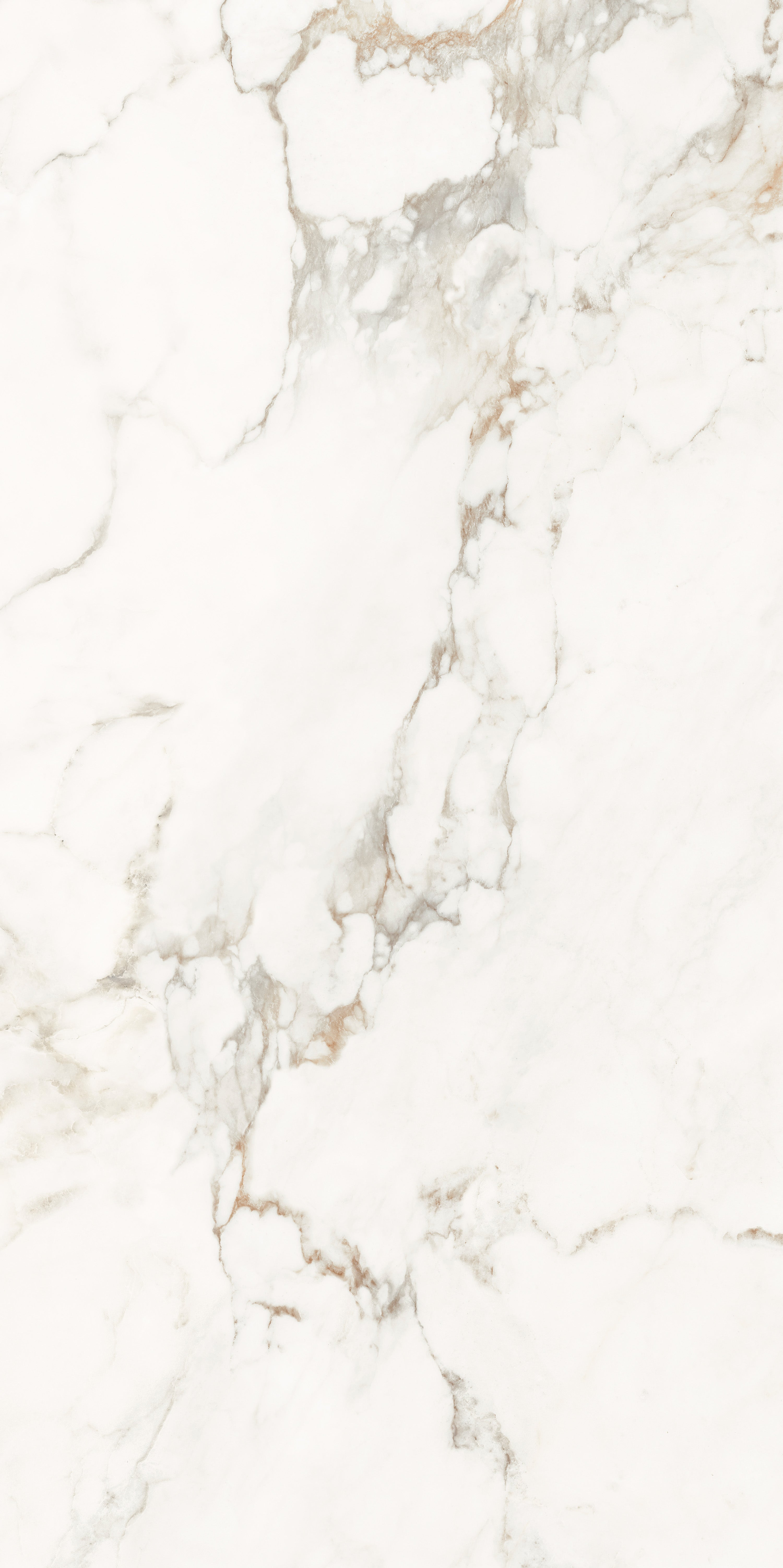 Muscat 60x120cm