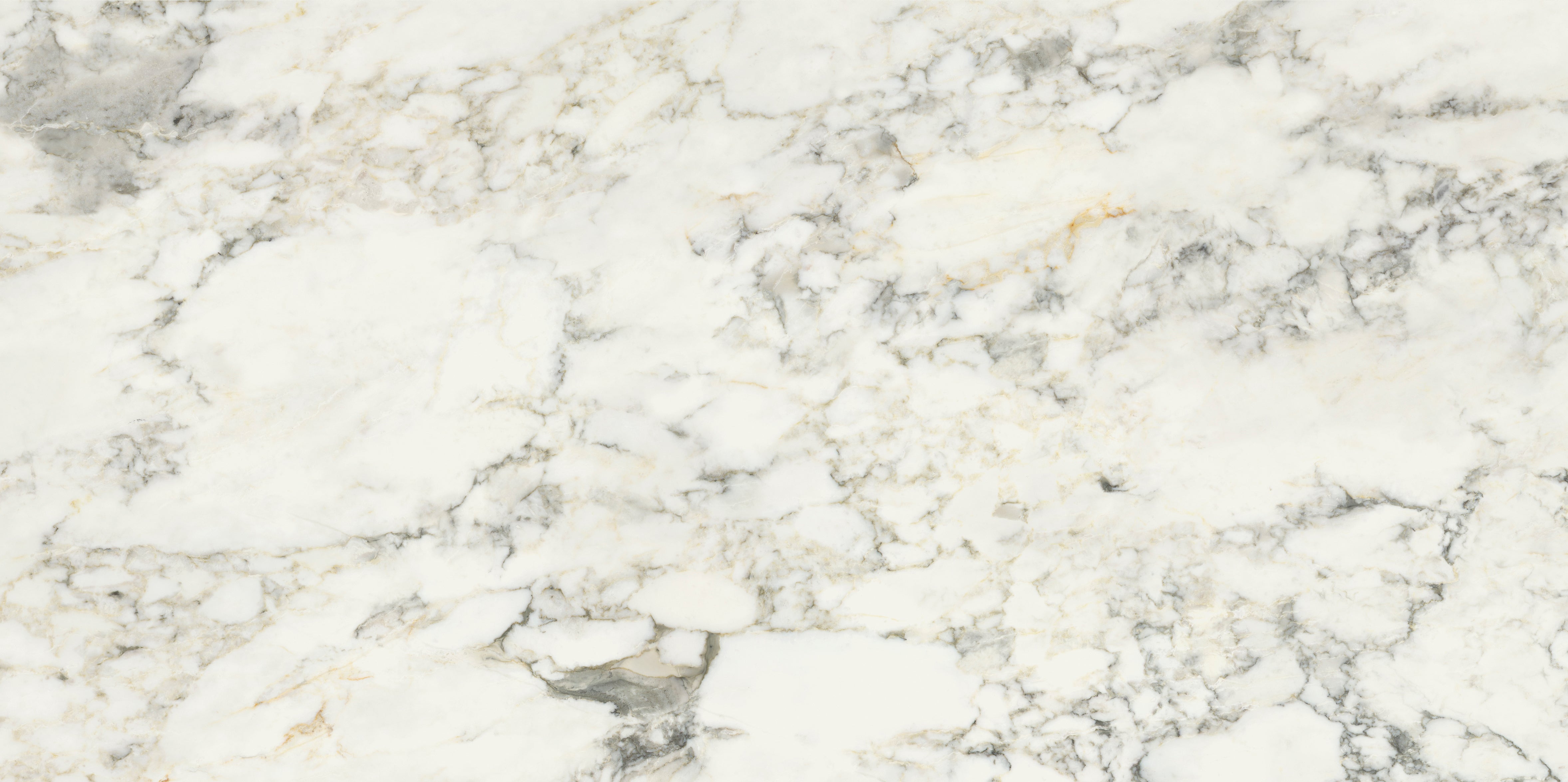 Palm Springs Italiana Plain 60x120cm