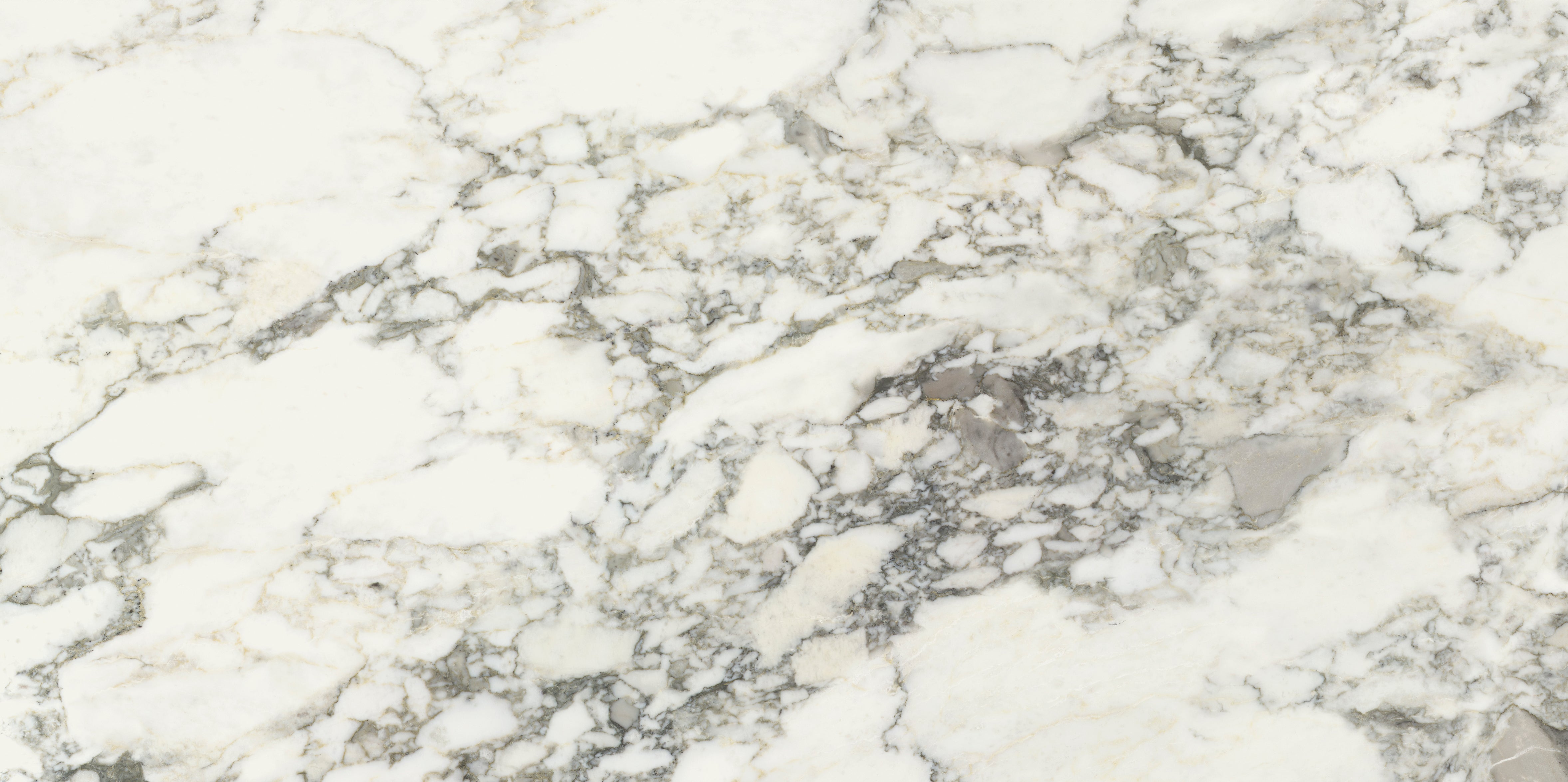 Palm Springs Italiana Plain 60x120cm