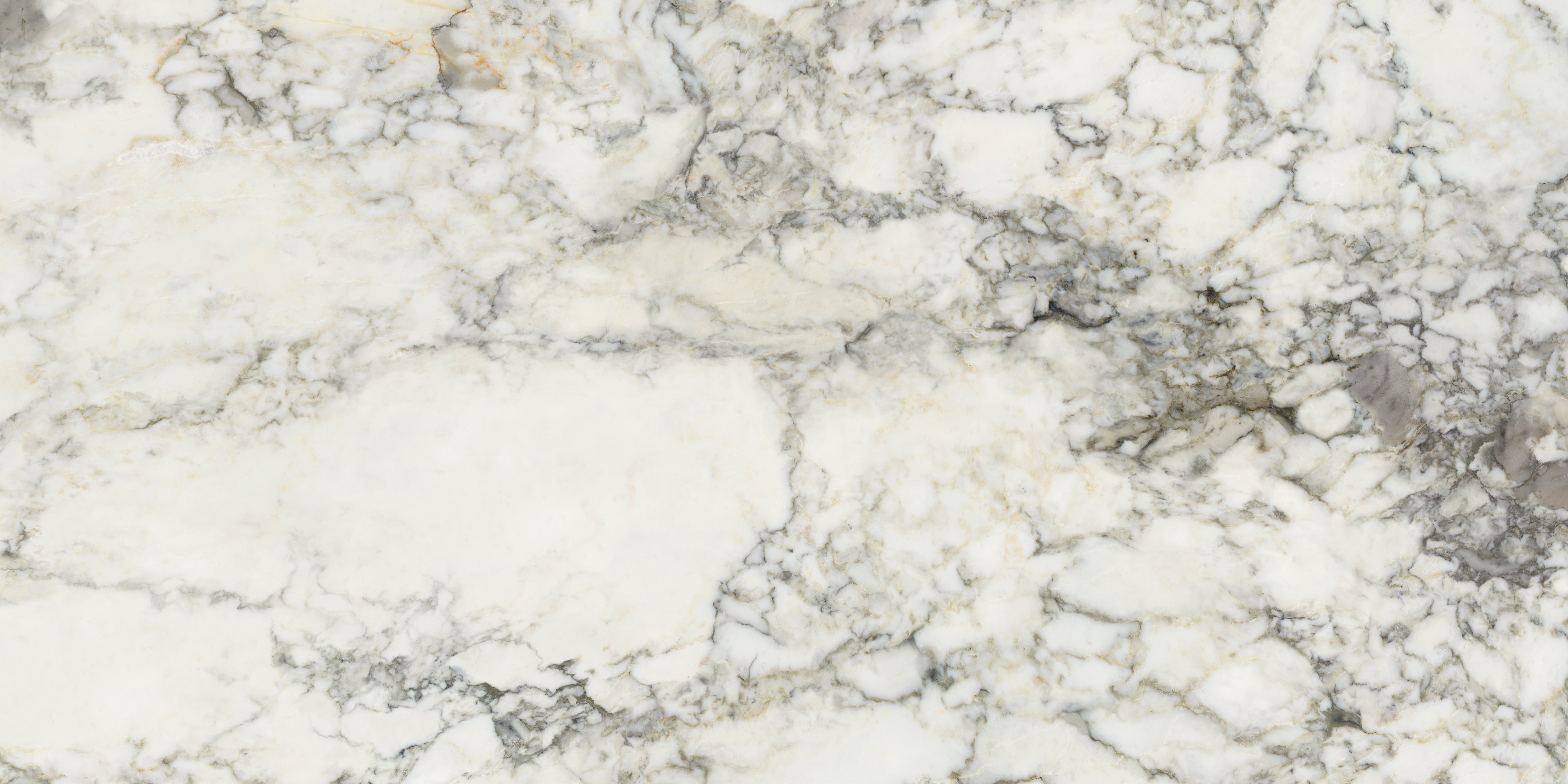 Palm Springs Italiana Plain 60x120cm