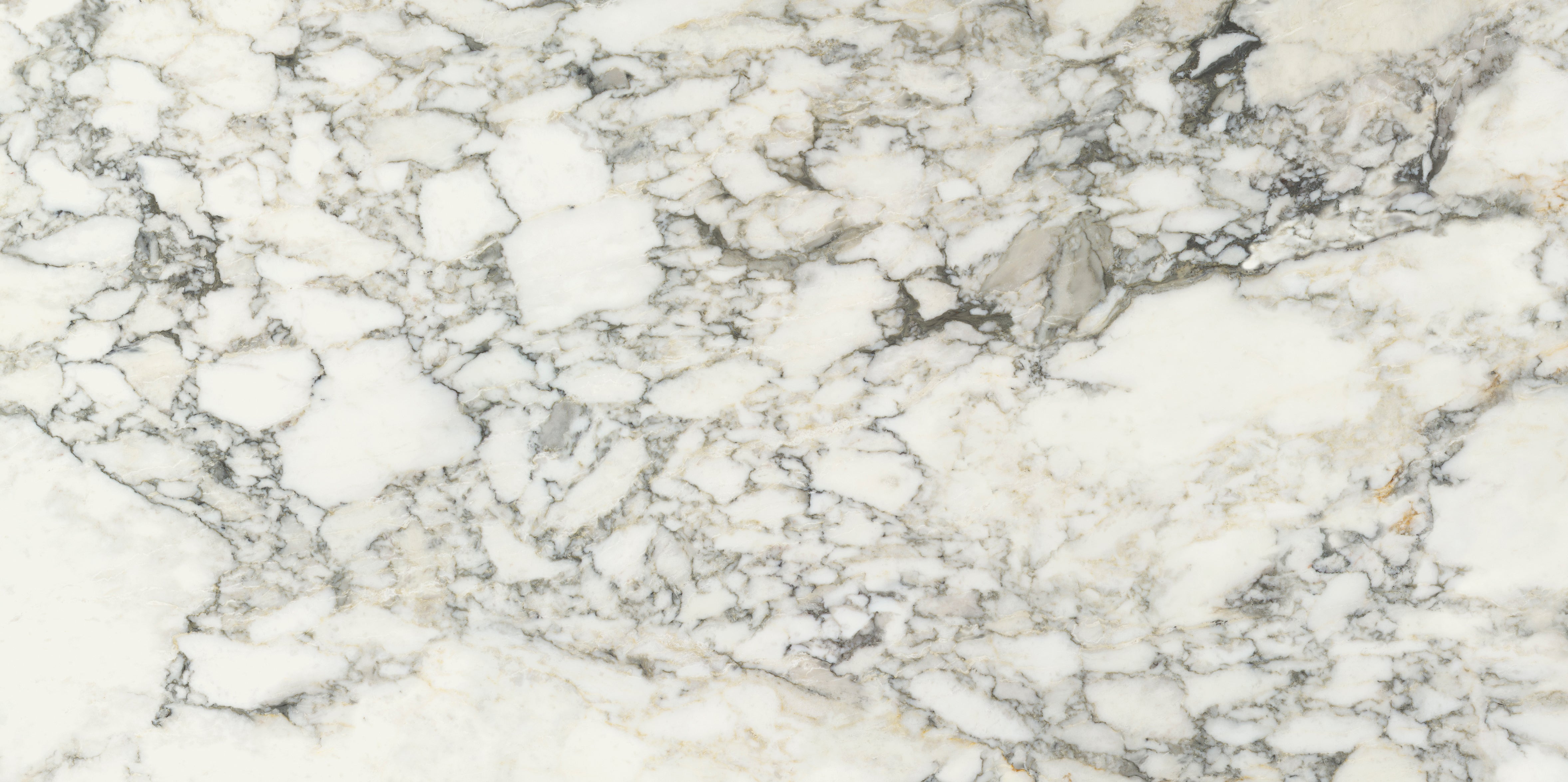 Palm Springs Italiana Plain 60x120cm