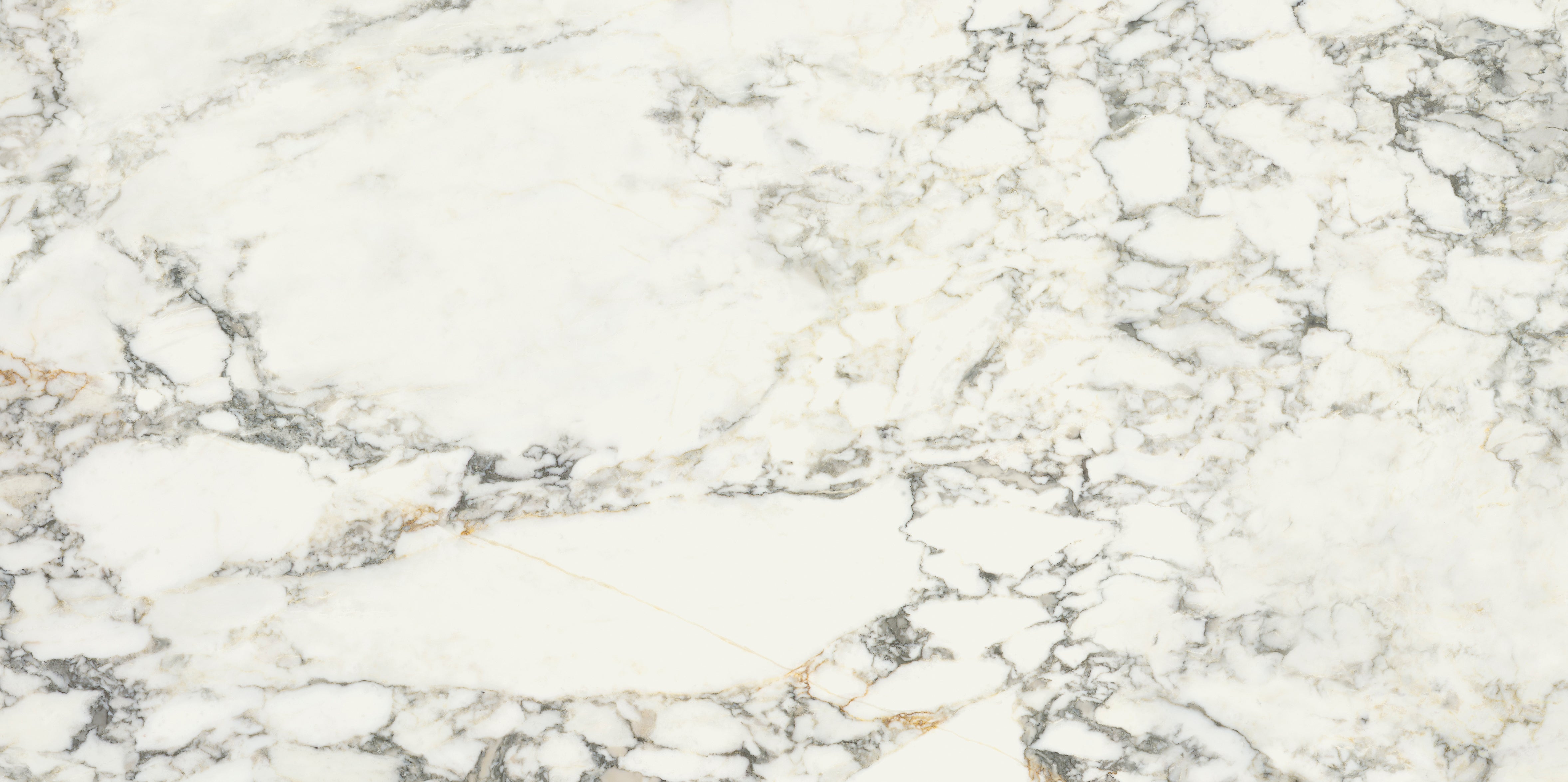 Palm Springs Italiana Plain 60x120cm
